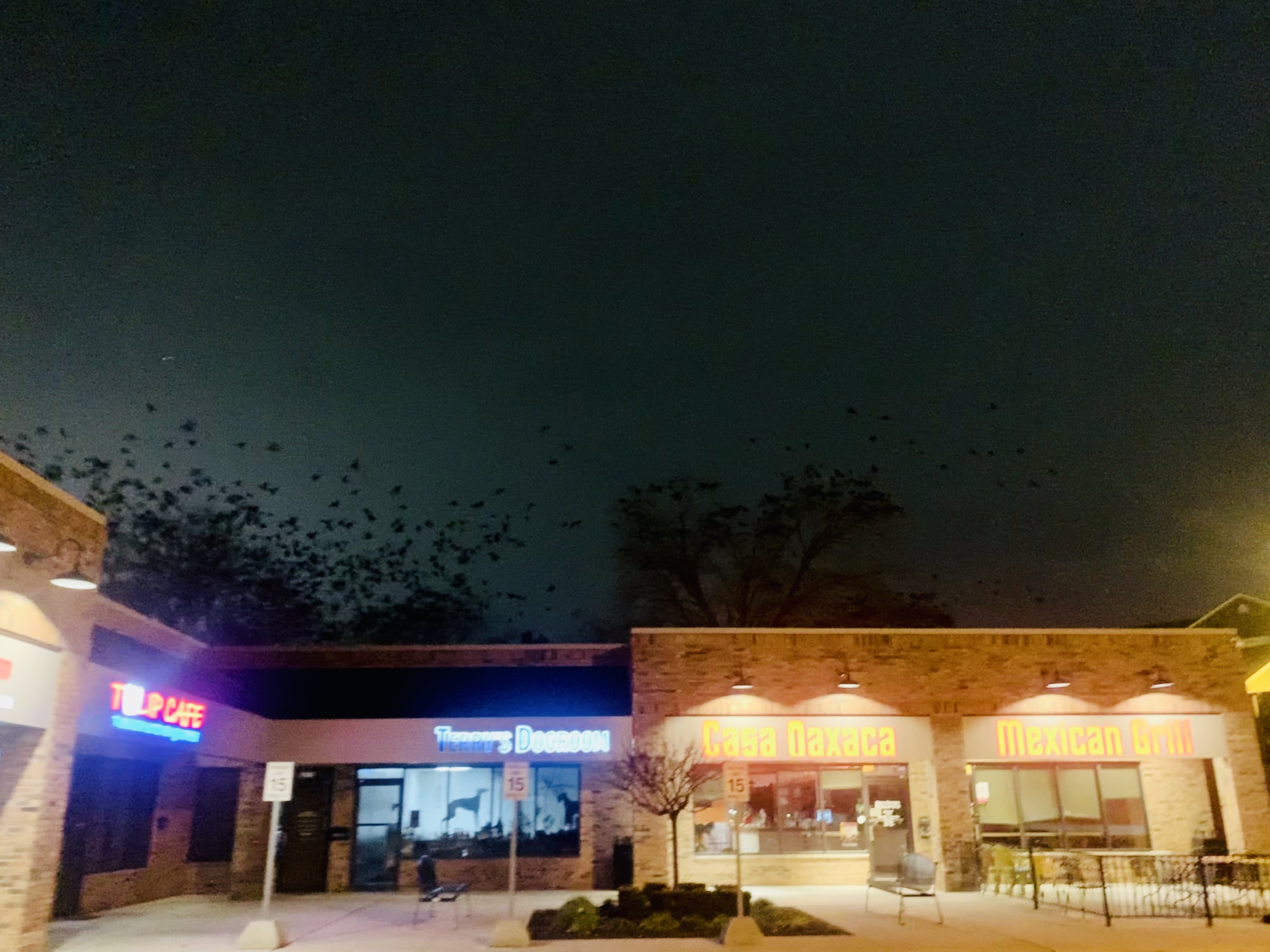 Image from report NUFORC_173051