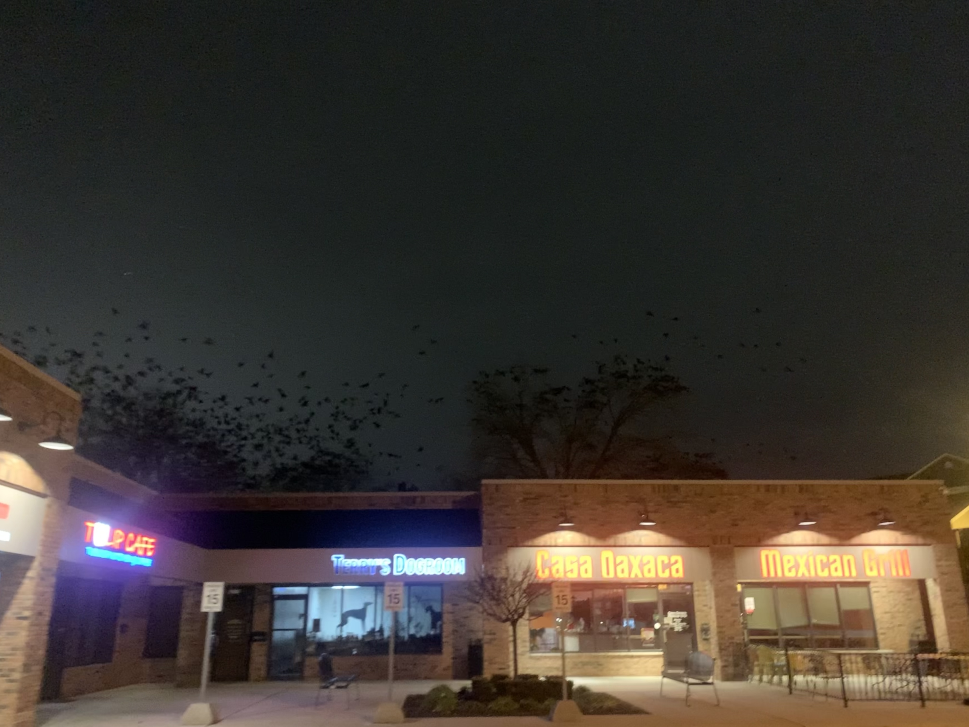 Image from report NUFORC_173051