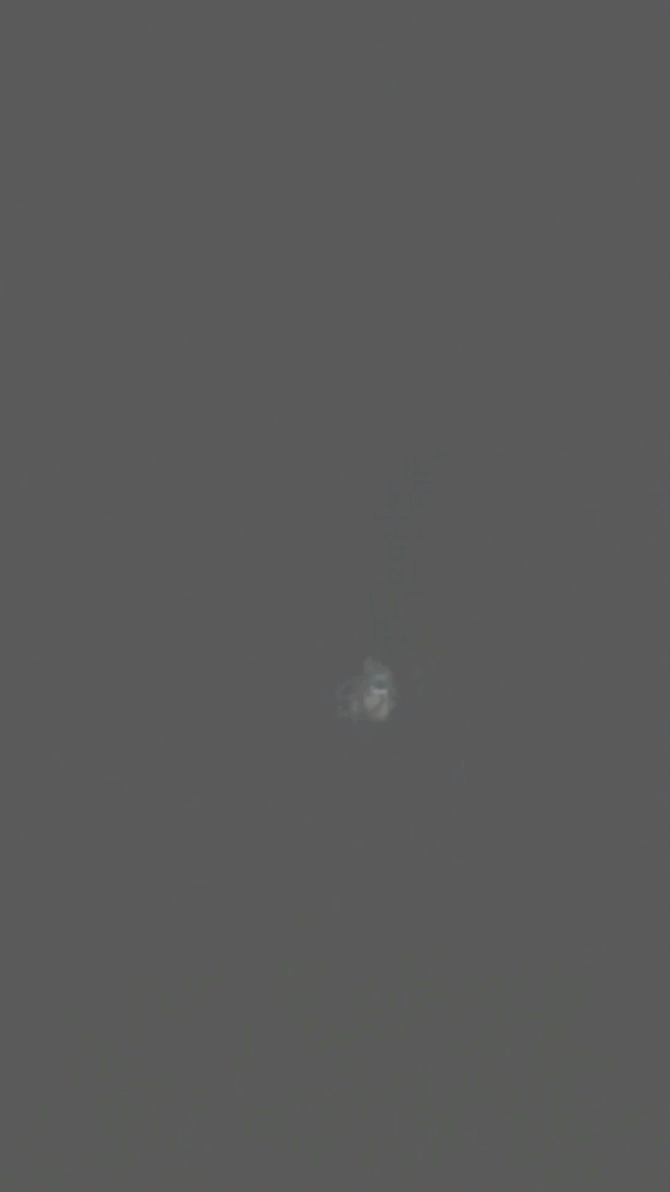 Image from report NUFORC_173095