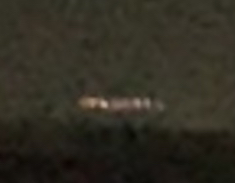 Image from report NUFORC_173321