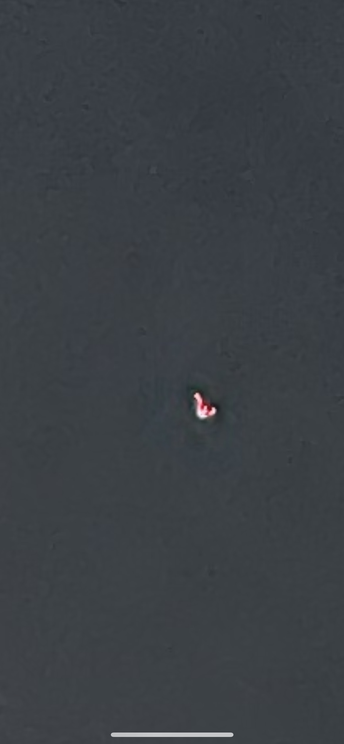 Image from report NUFORC_173457