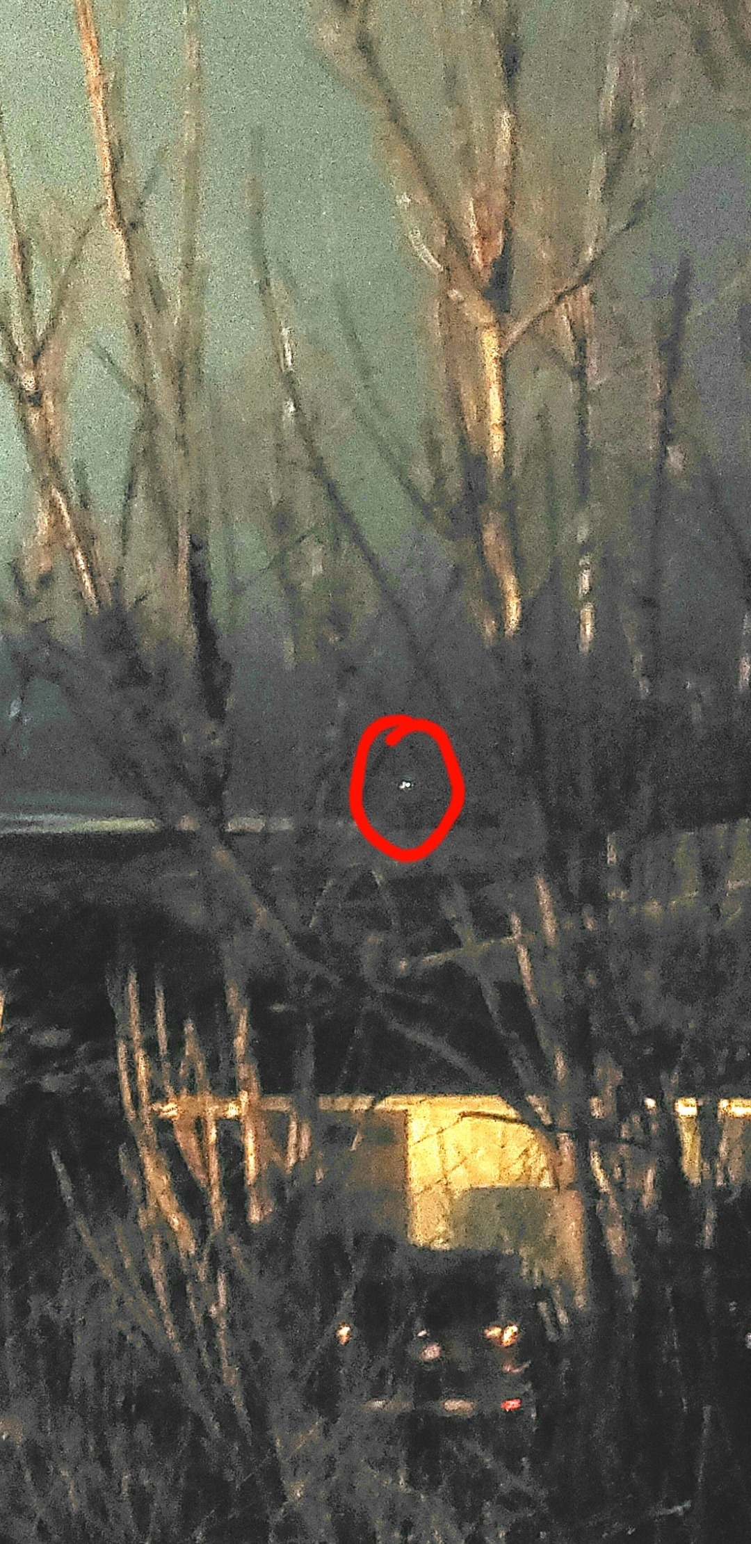 Image from report NUFORC_173680
