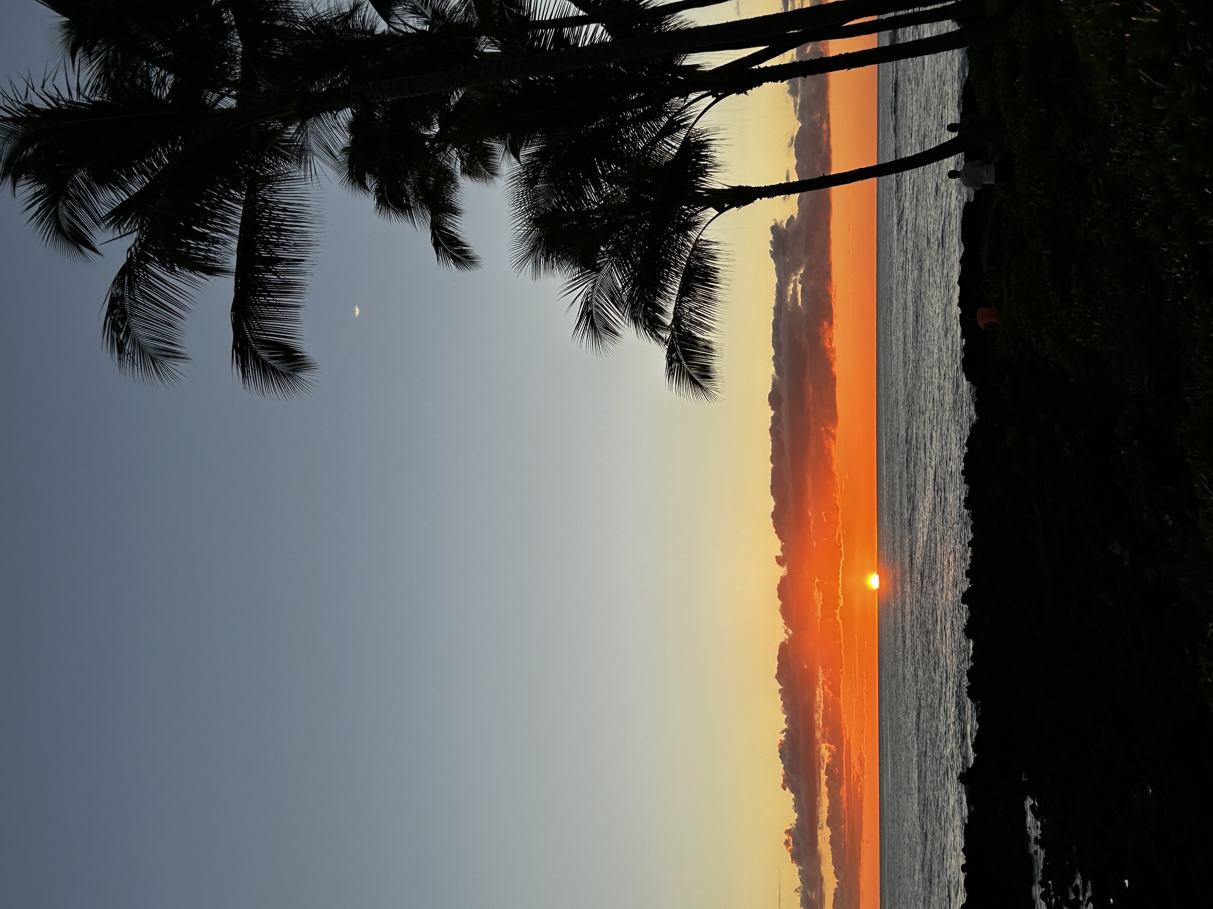 Image from report NUFORC_173694