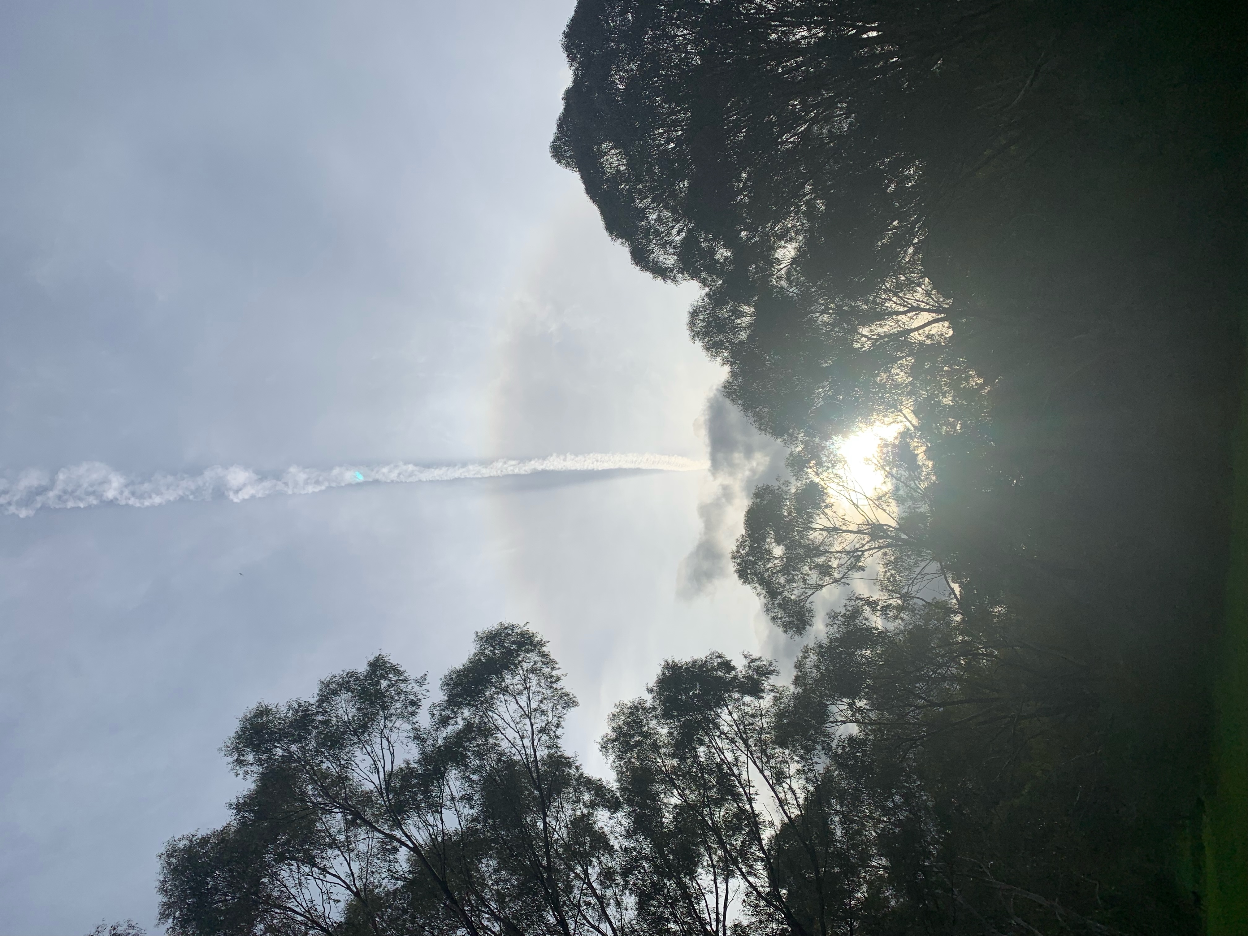 Image from report NUFORC_173774