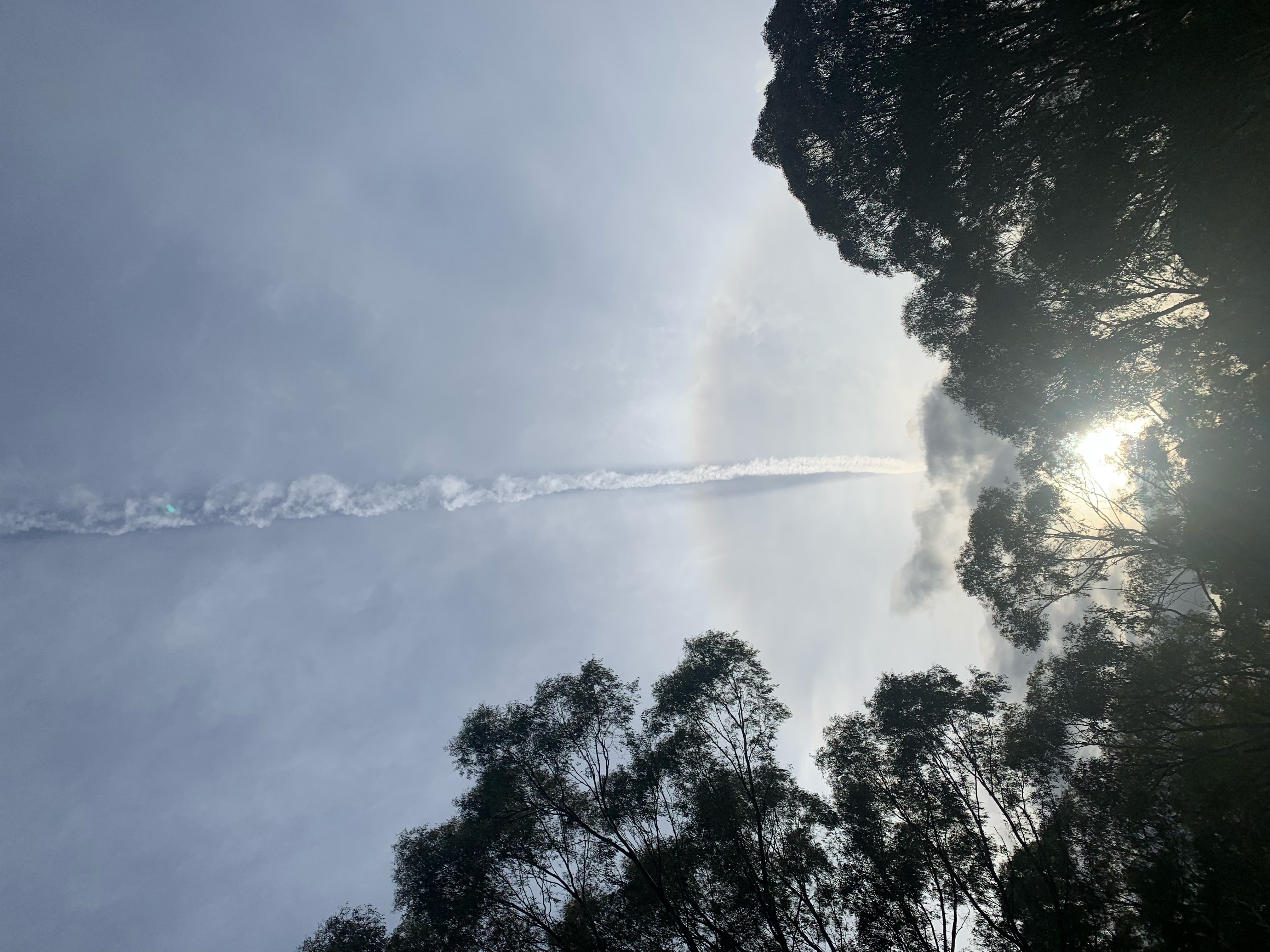 Image from report NUFORC_173774