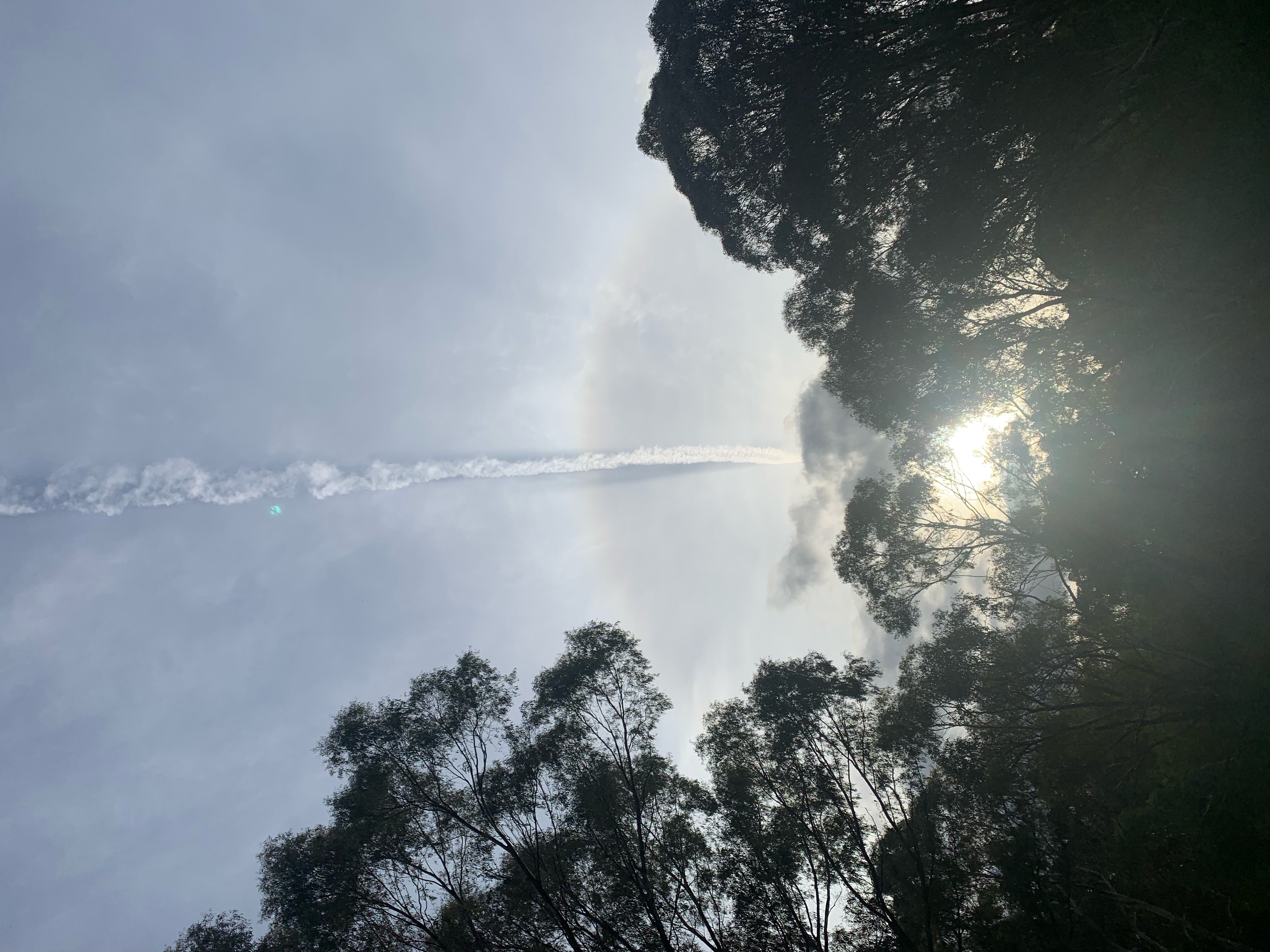 Image from report NUFORC_173774