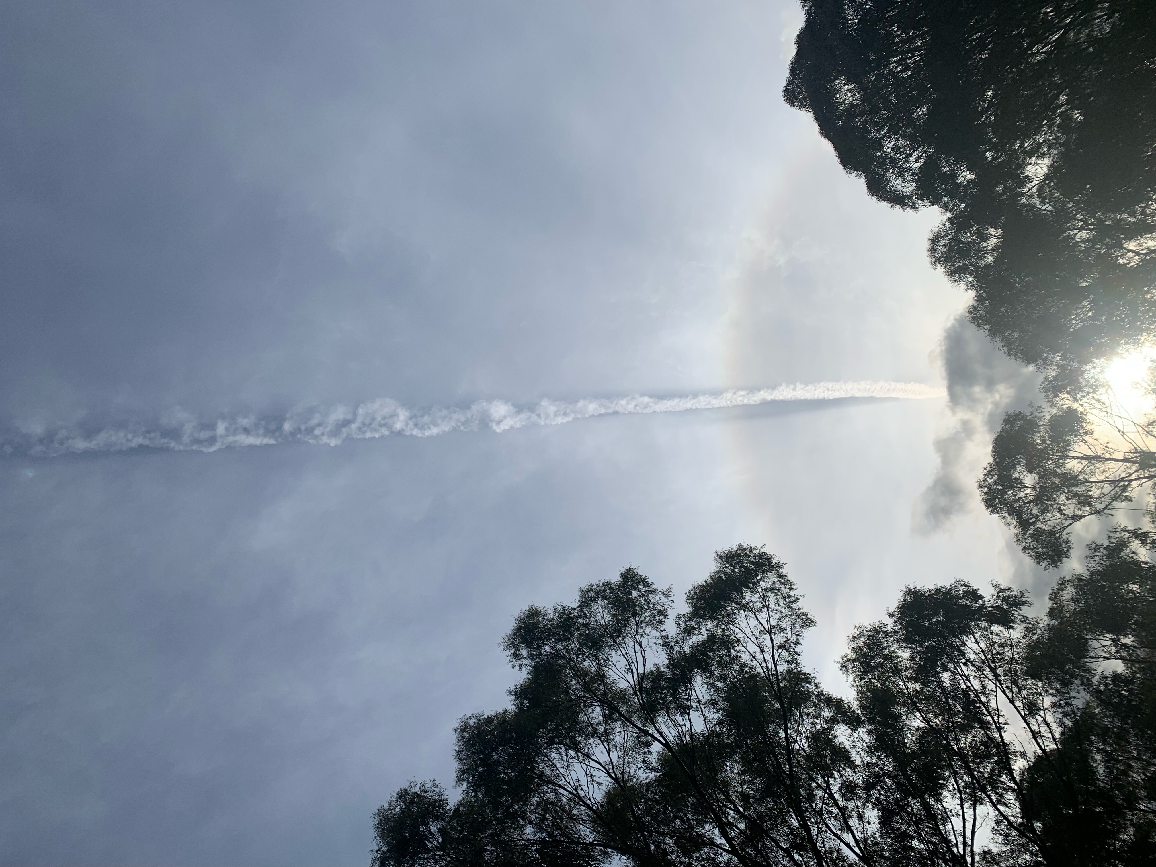 Image from report NUFORC_173774