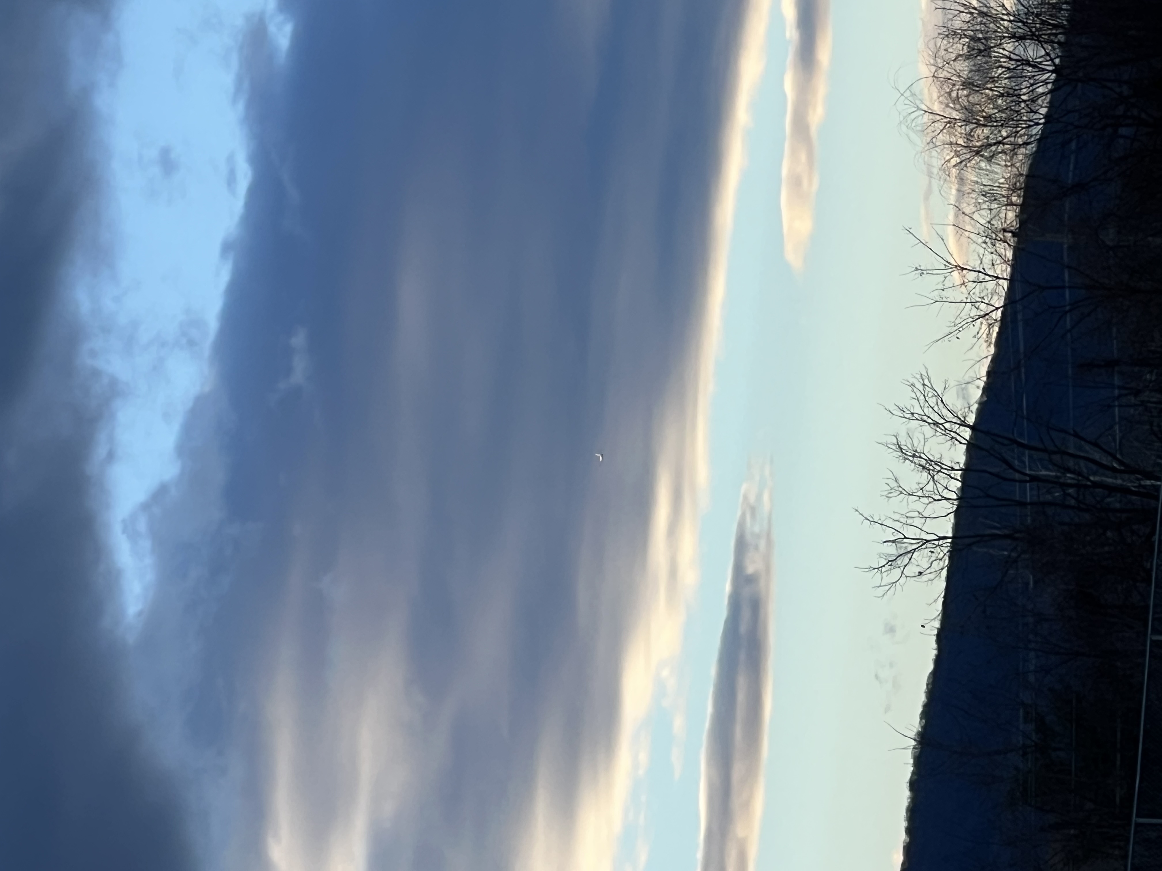 Image from report NUFORC_173784