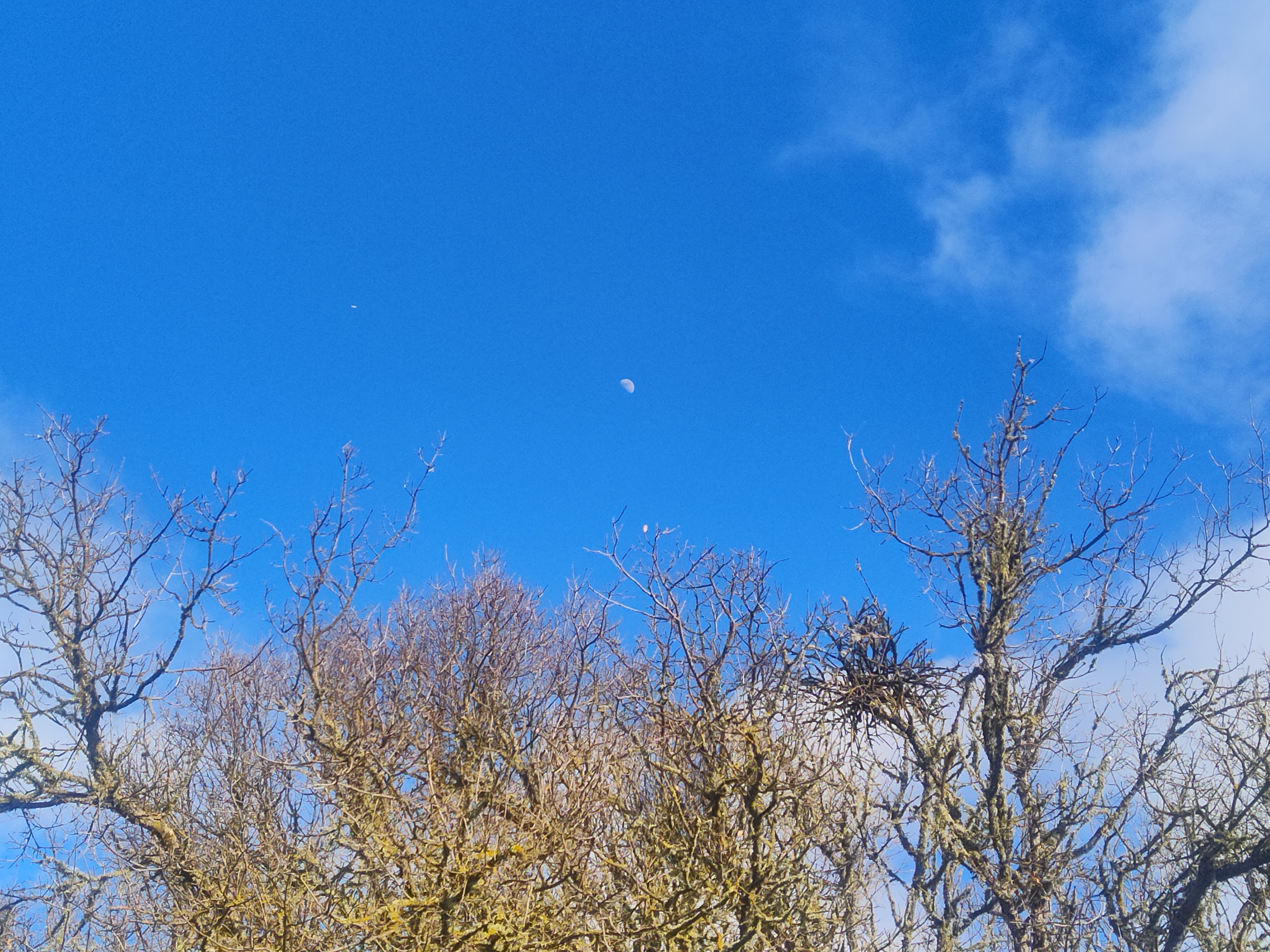 Image from report NUFORC_174210