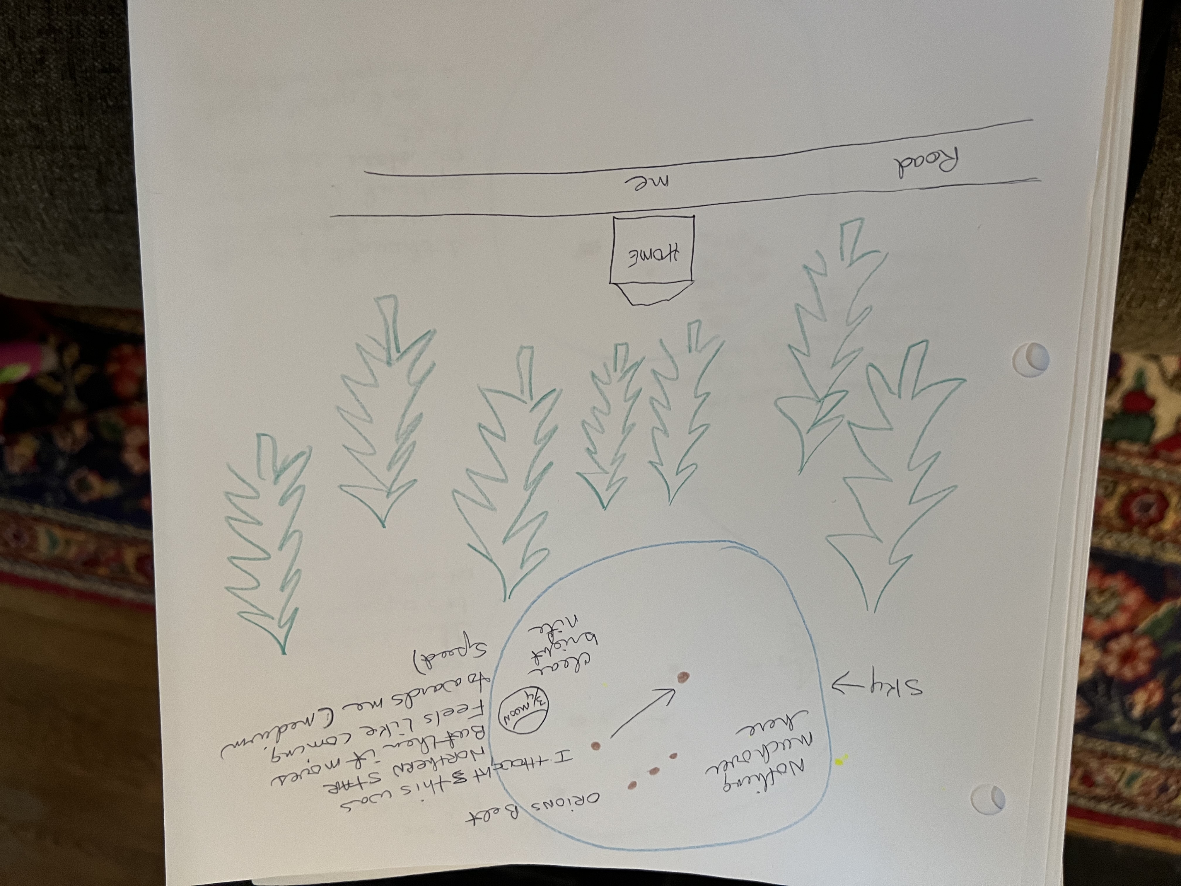 Image from report NUFORC_174255