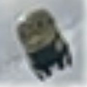 Image from report NUFORC_174282