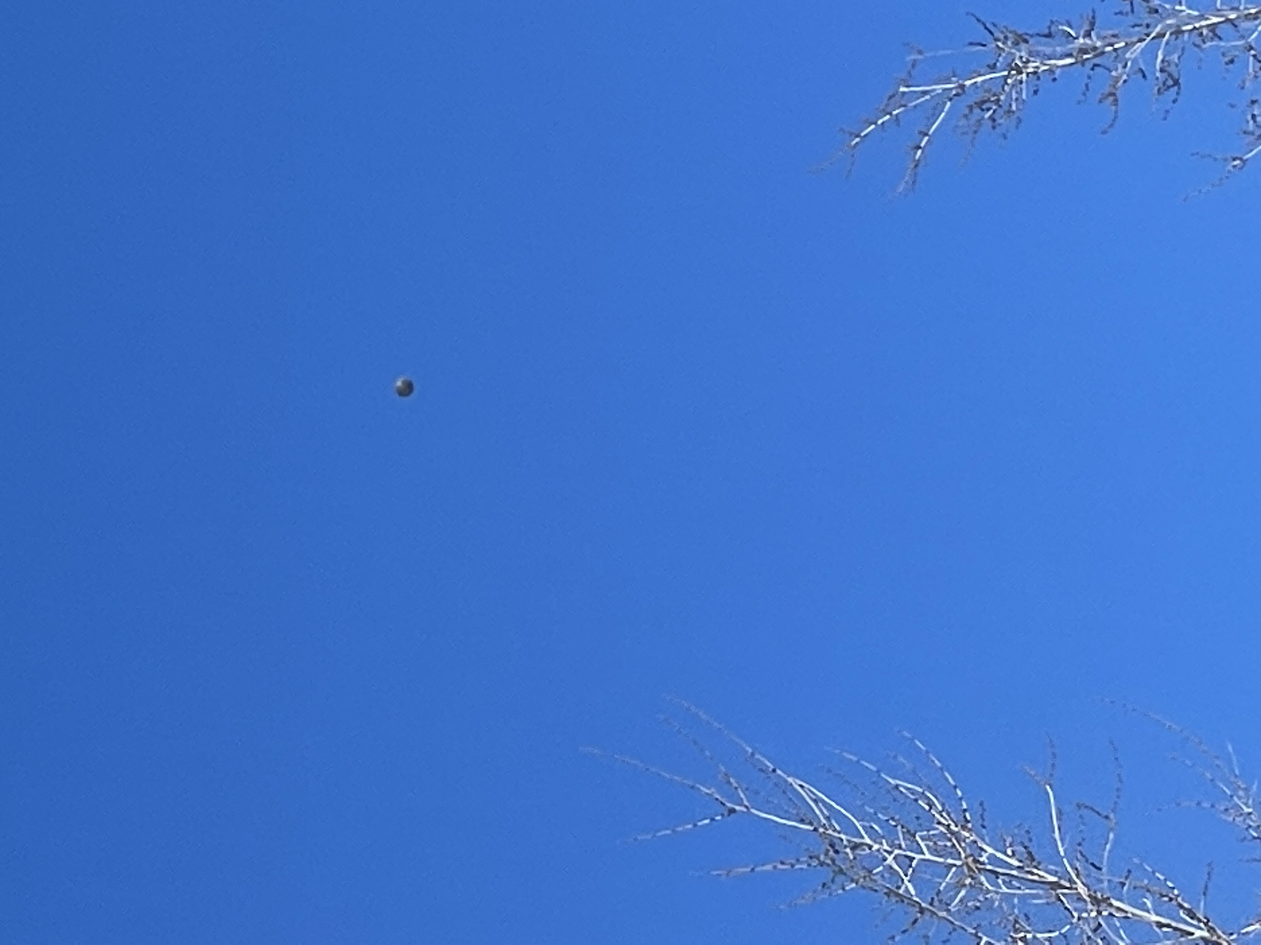 Image from report NUFORC_174617