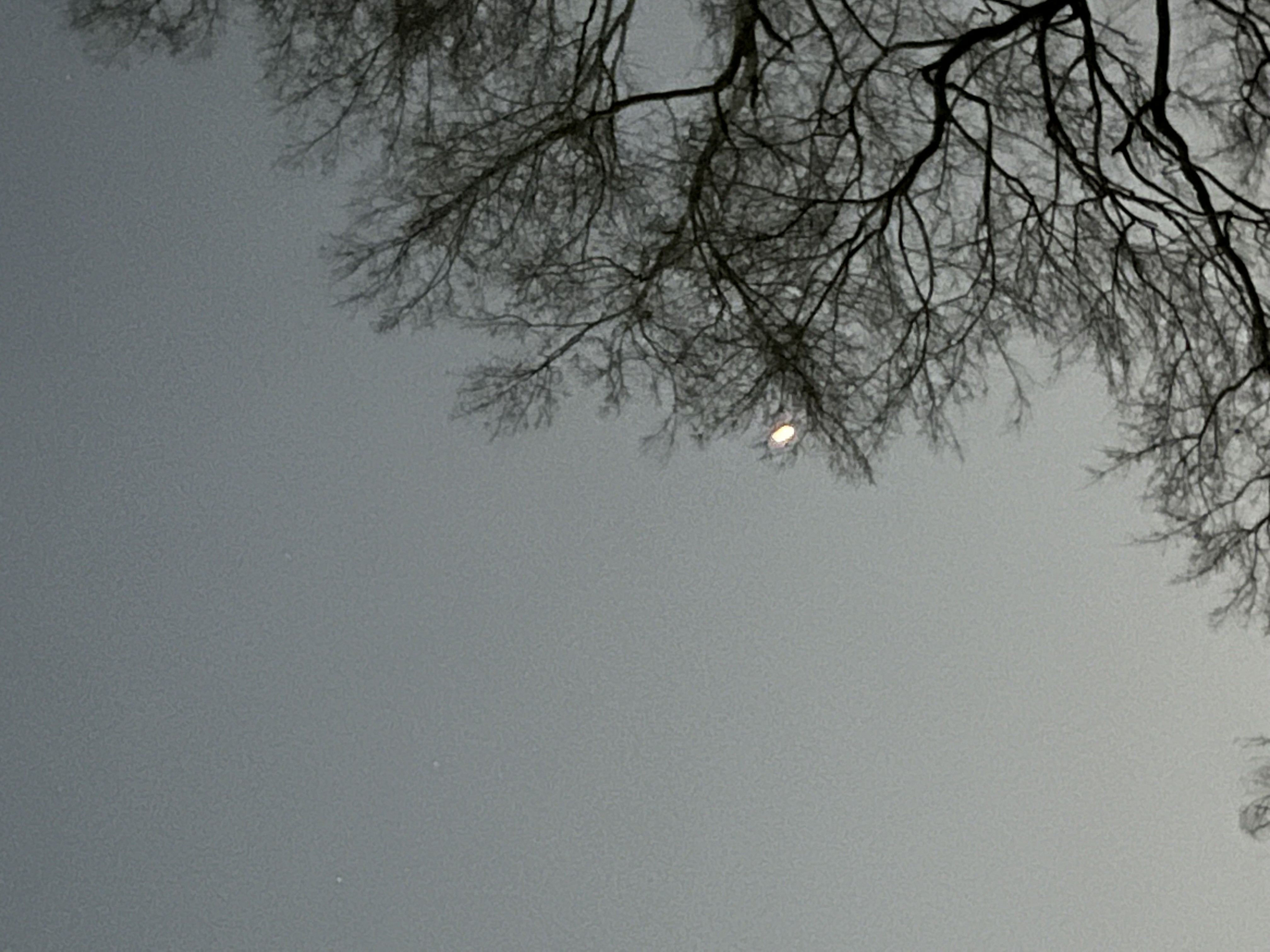 Image from report NUFORC_174786