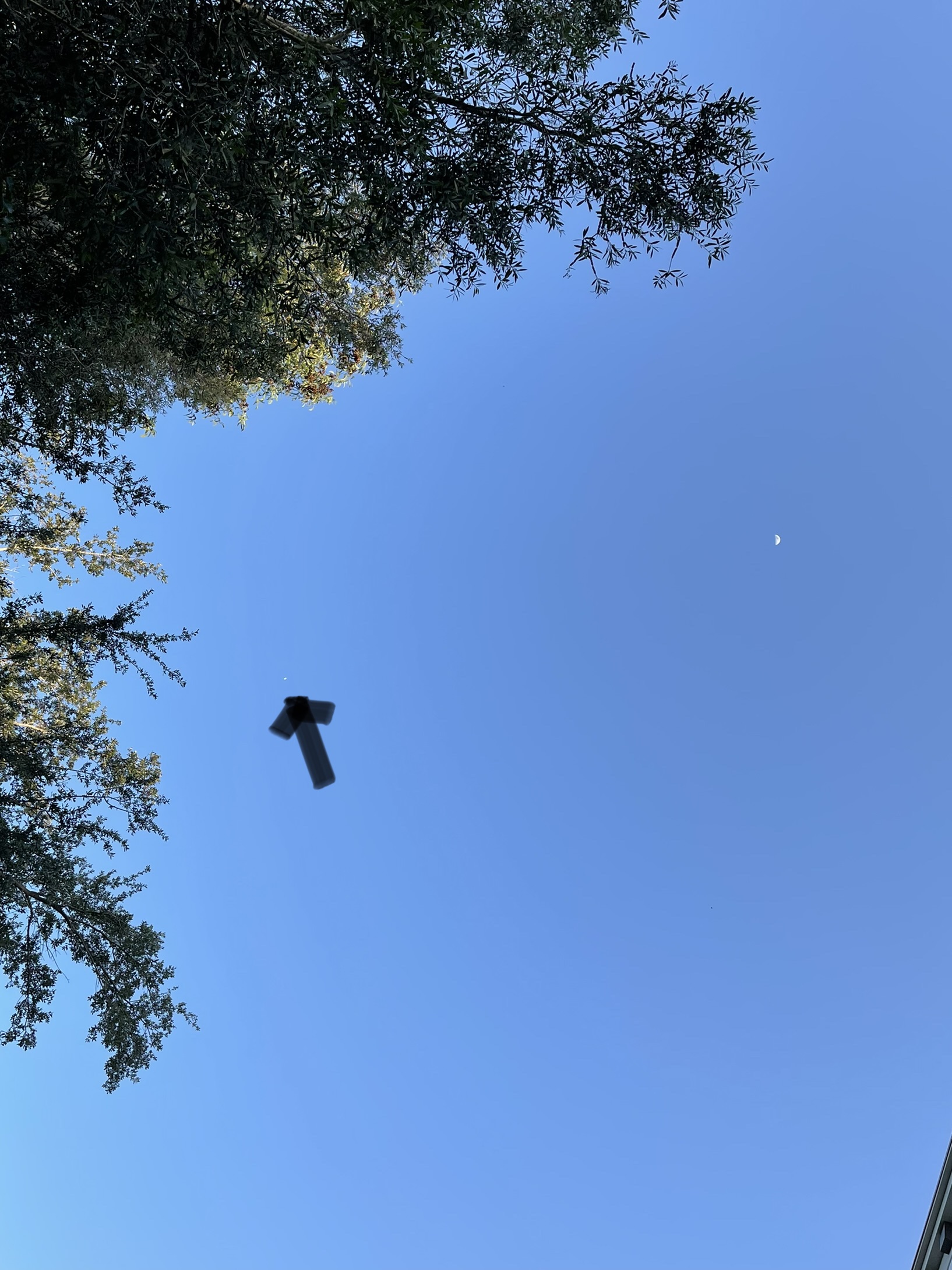 Image from report NUFORC_175373