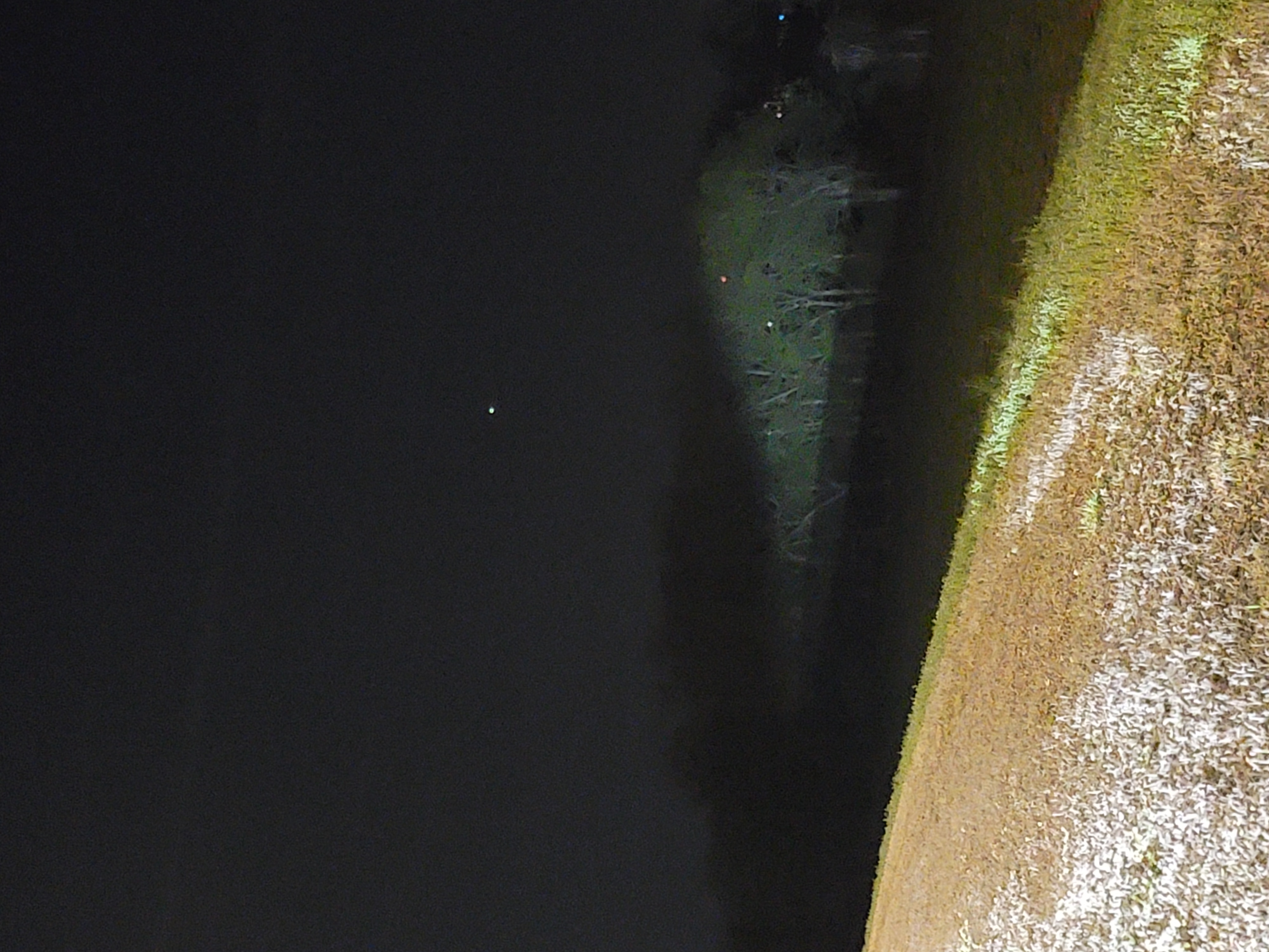 Image from report NUFORC_175381