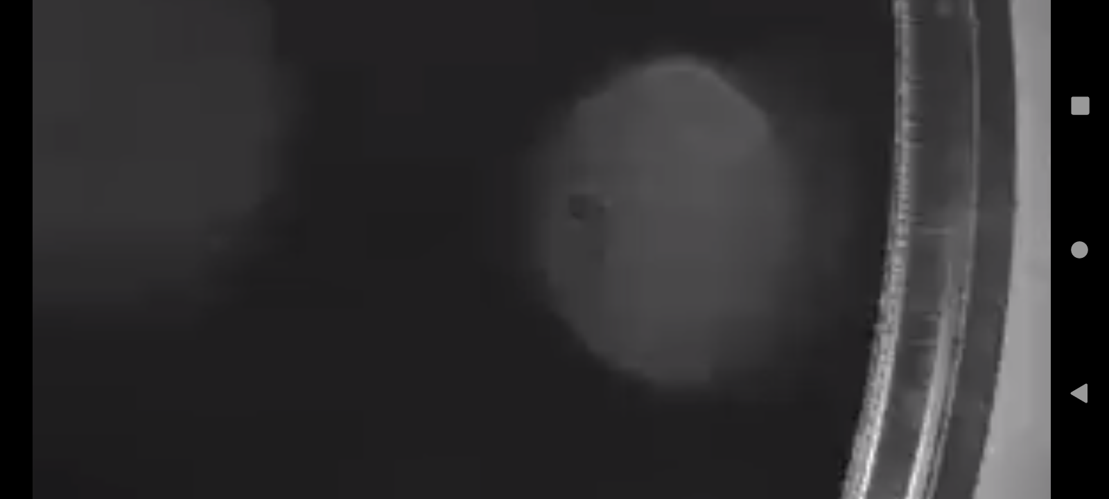 Image from report NUFORC_175446