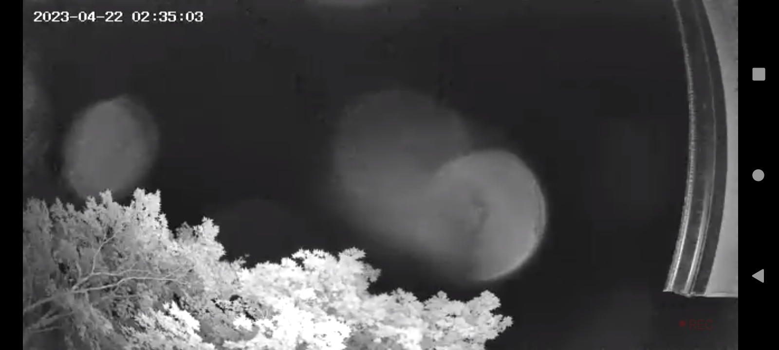 Image from report NUFORC_175446