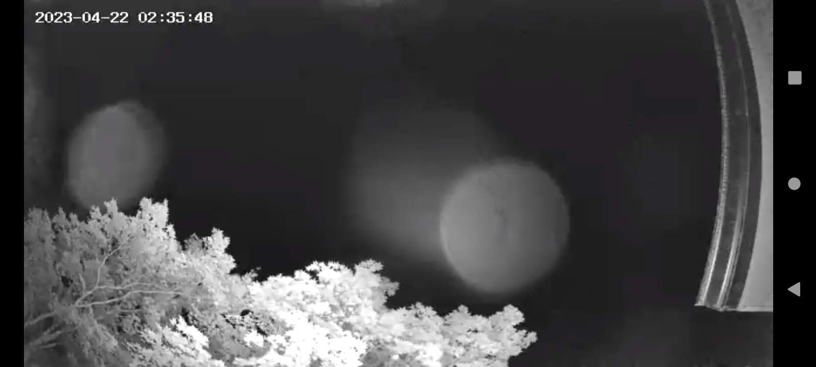 Image from report NUFORC_175446