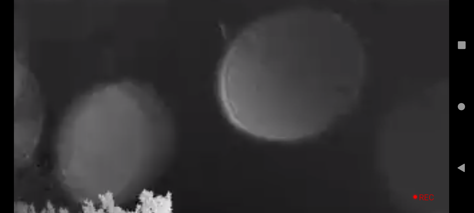 Image from report NUFORC_175446