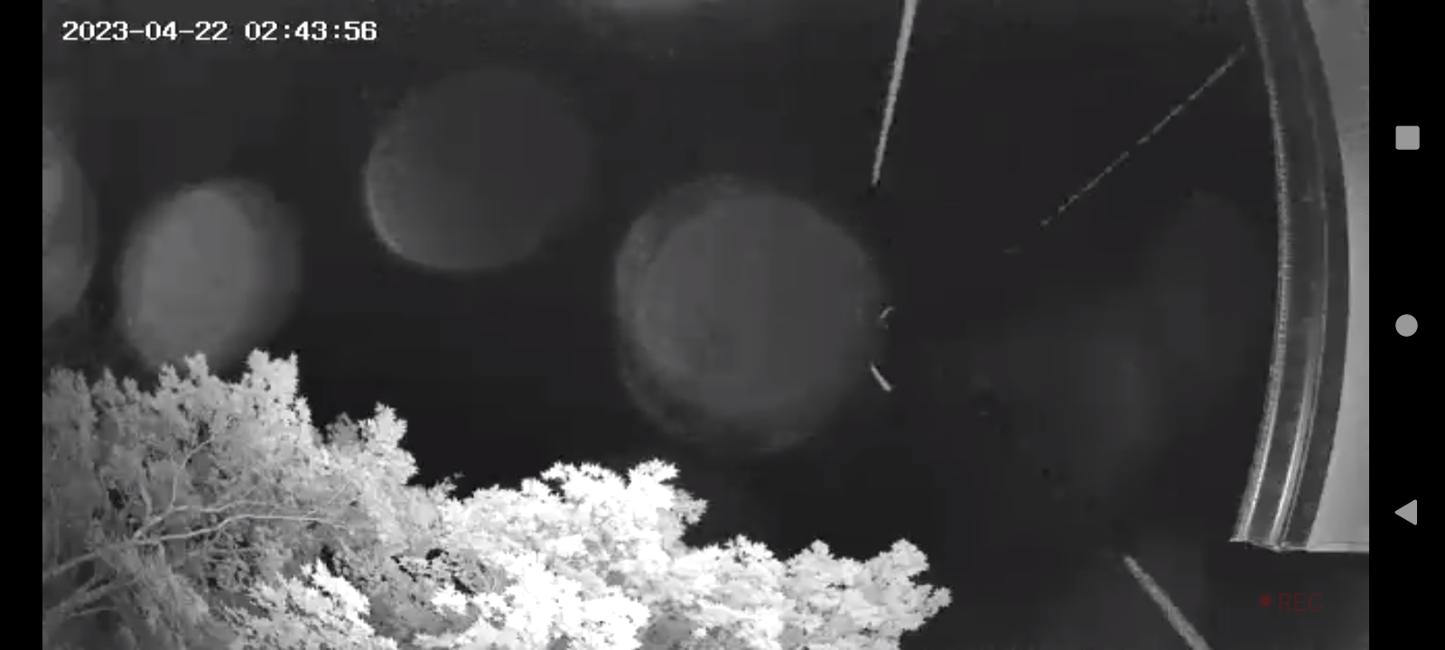 Image from report NUFORC_175447