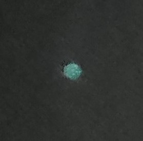 Image from report NUFORC_175538