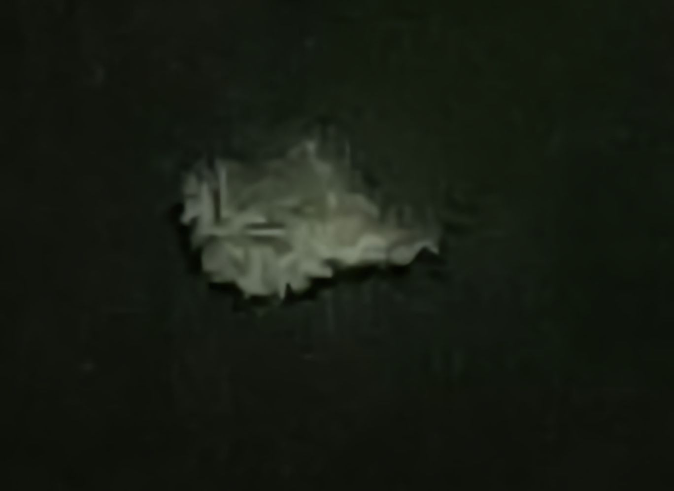 Image from report NUFORC_175597