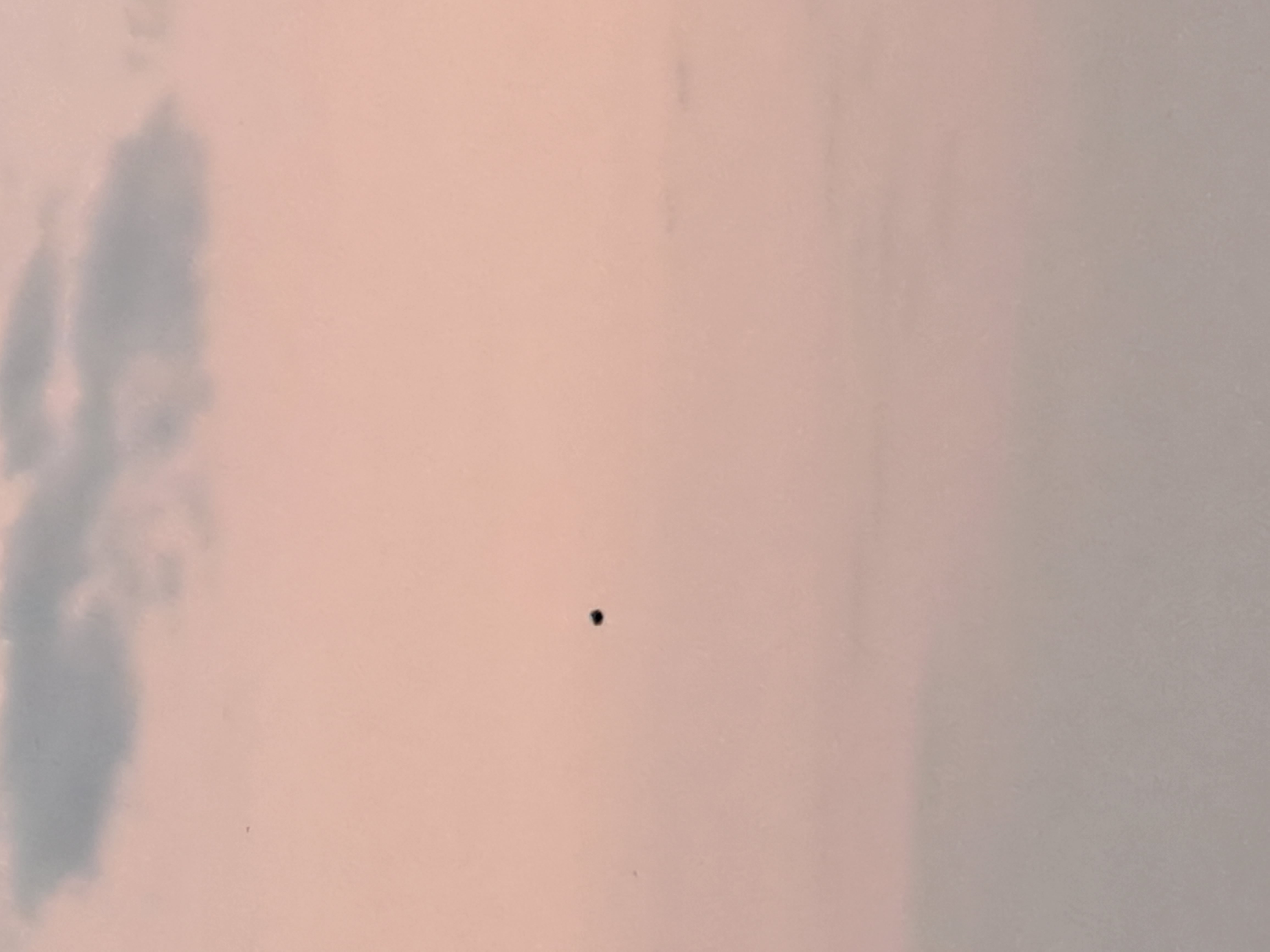 Image from report NUFORC_175887