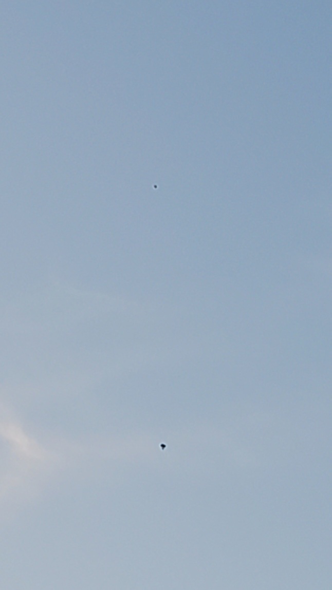 Image from report NUFORC_176980