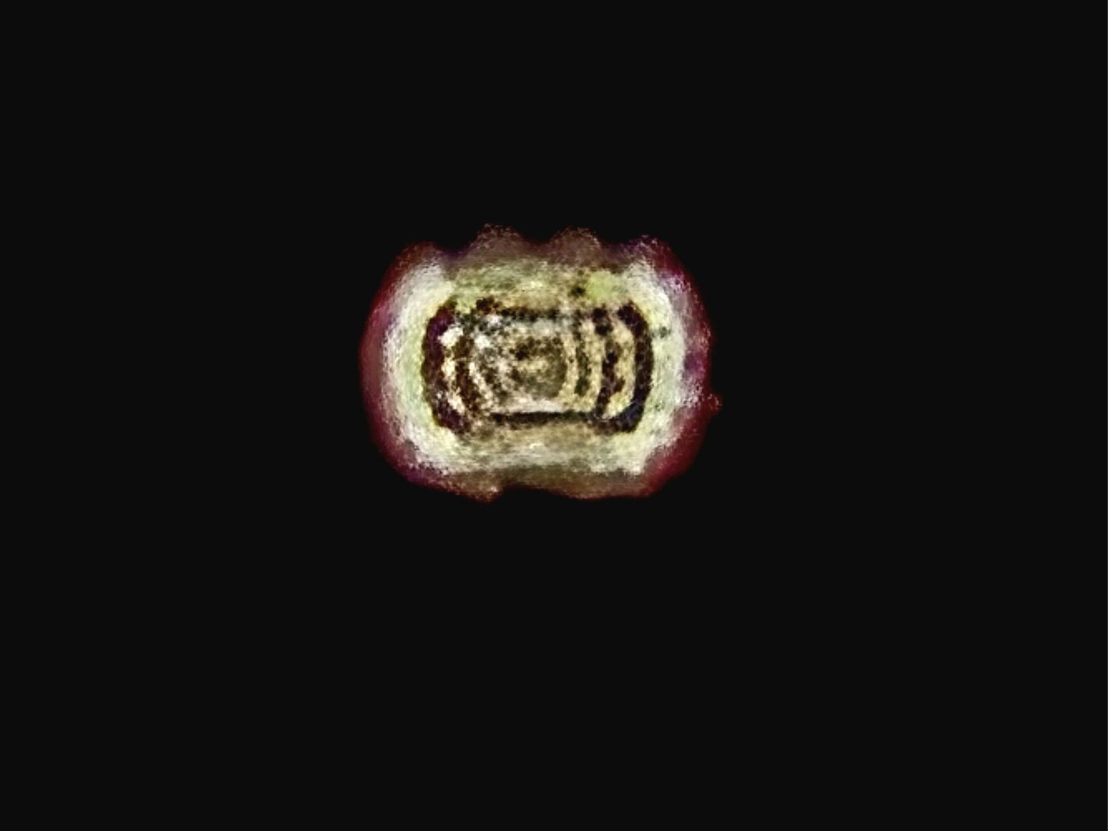 Image from report NUFORC_177224