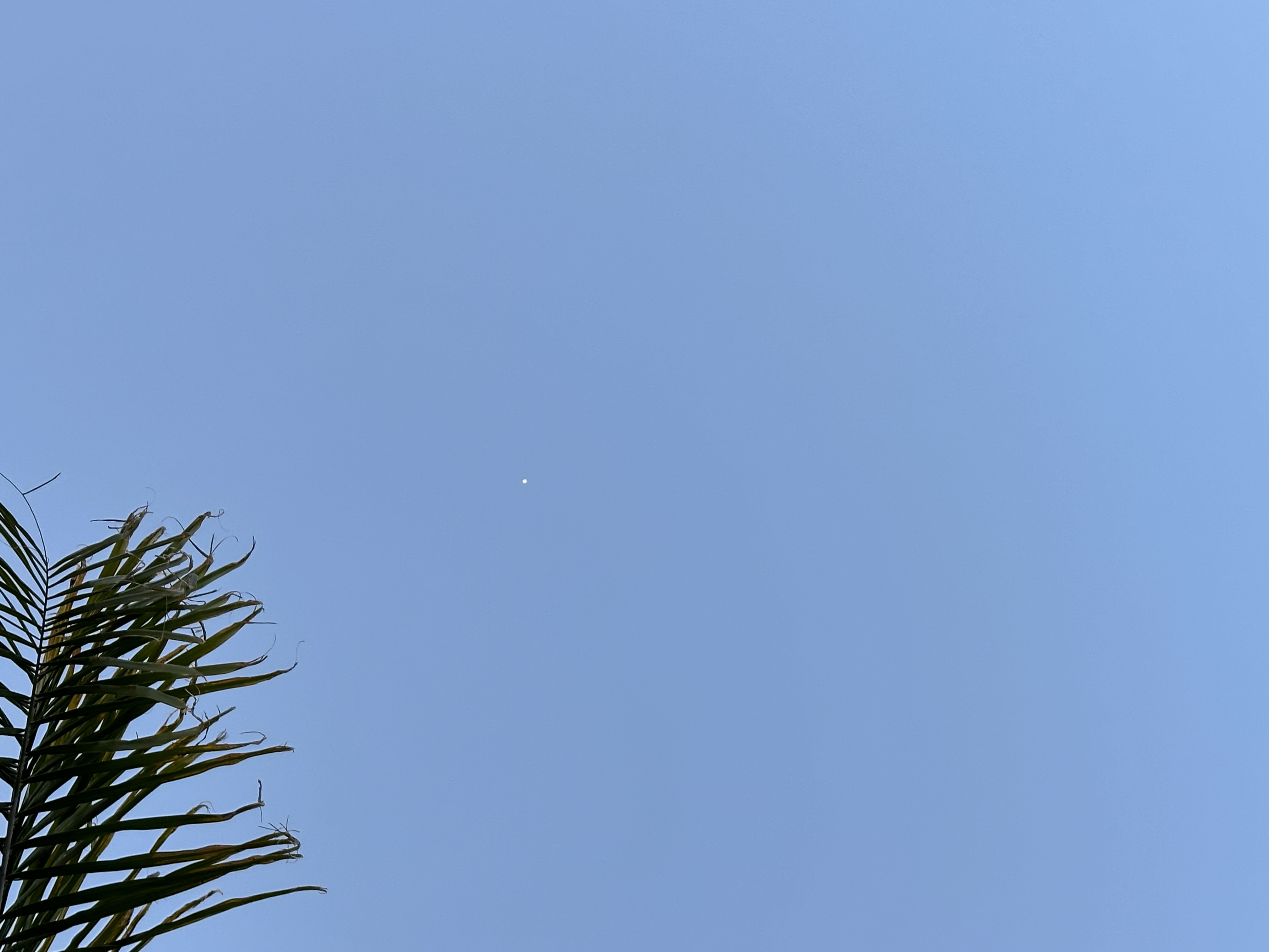 Image from report NUFORC_177369