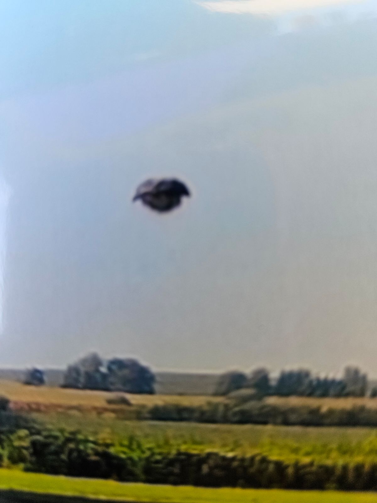 Image from report NUFORC_177549