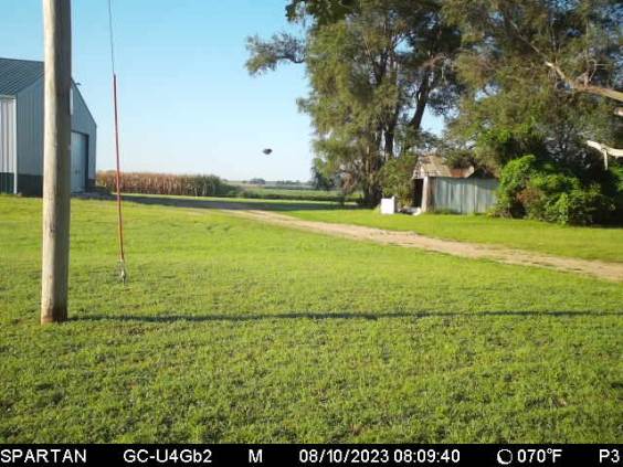 Image from report NUFORC_177549