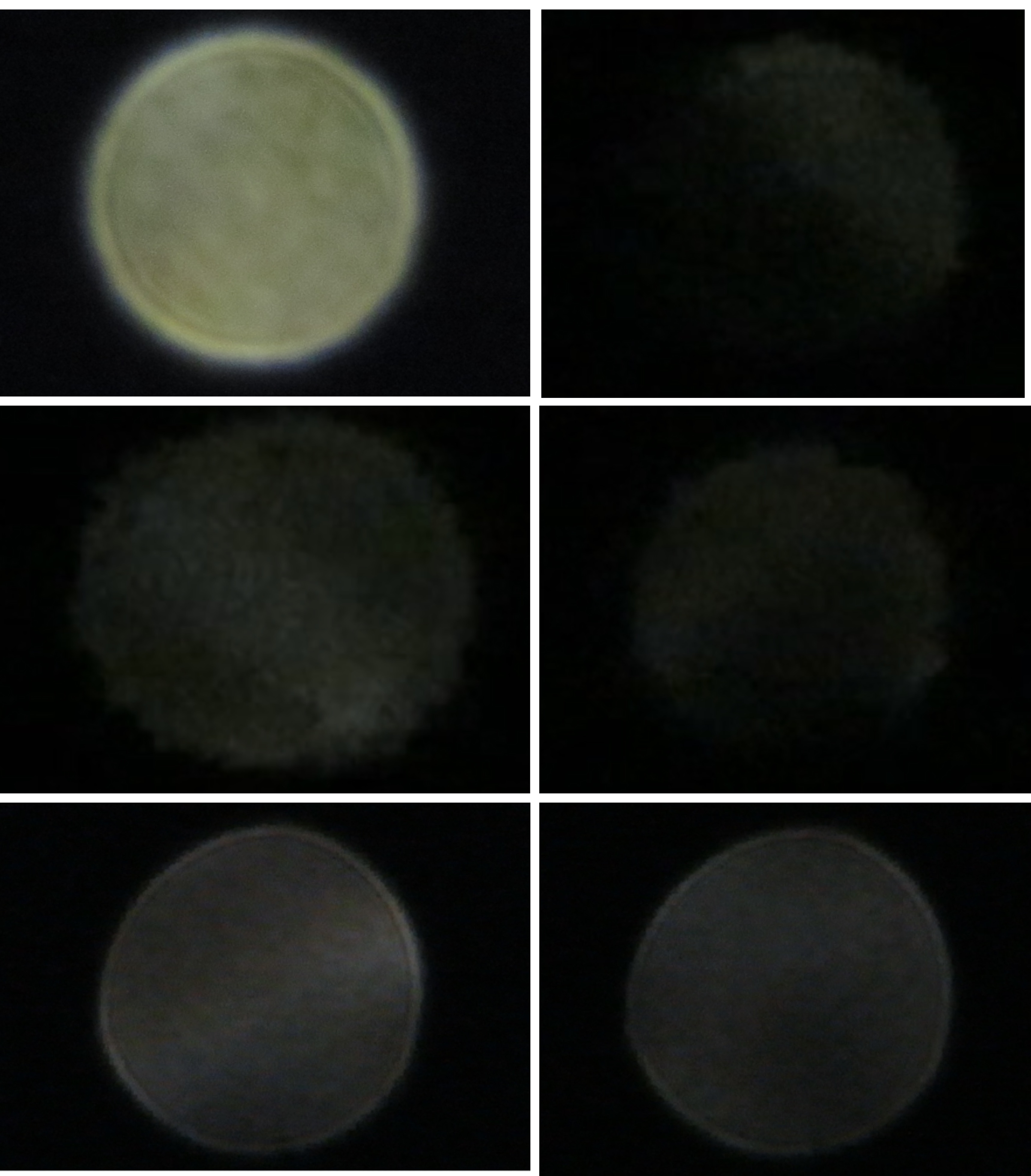 Image from report NUFORC_179226