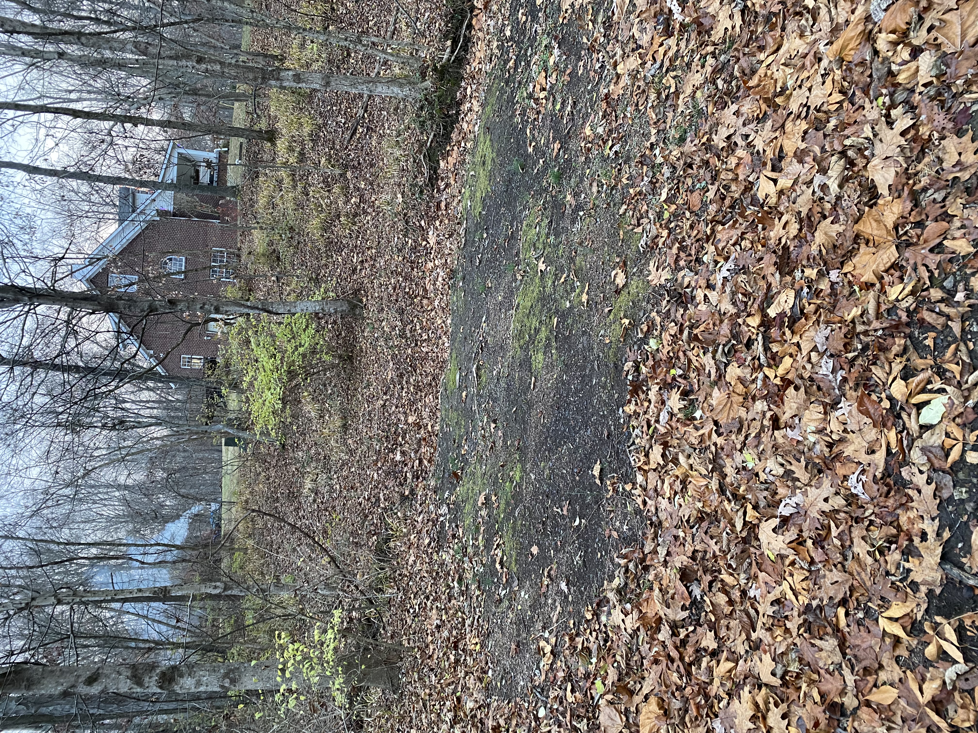 Image from report NUFORC_179607