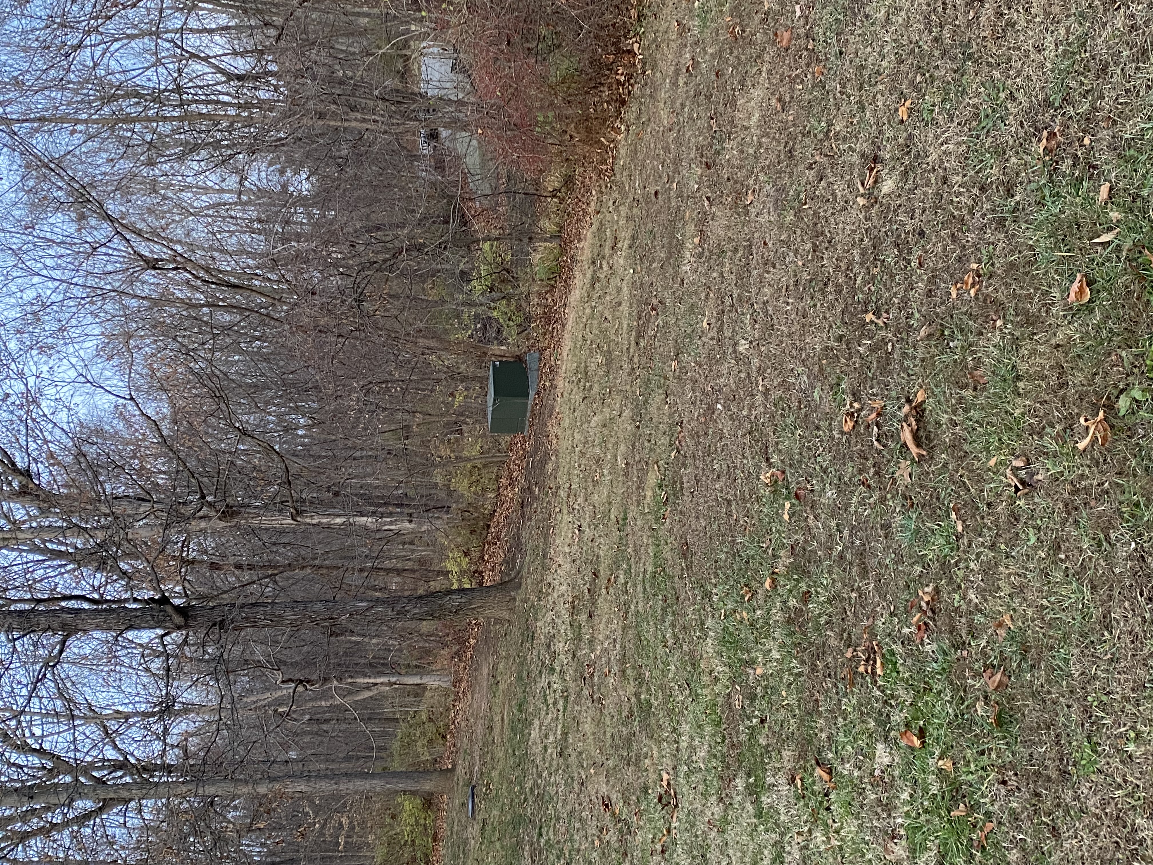 Image from report NUFORC_179607