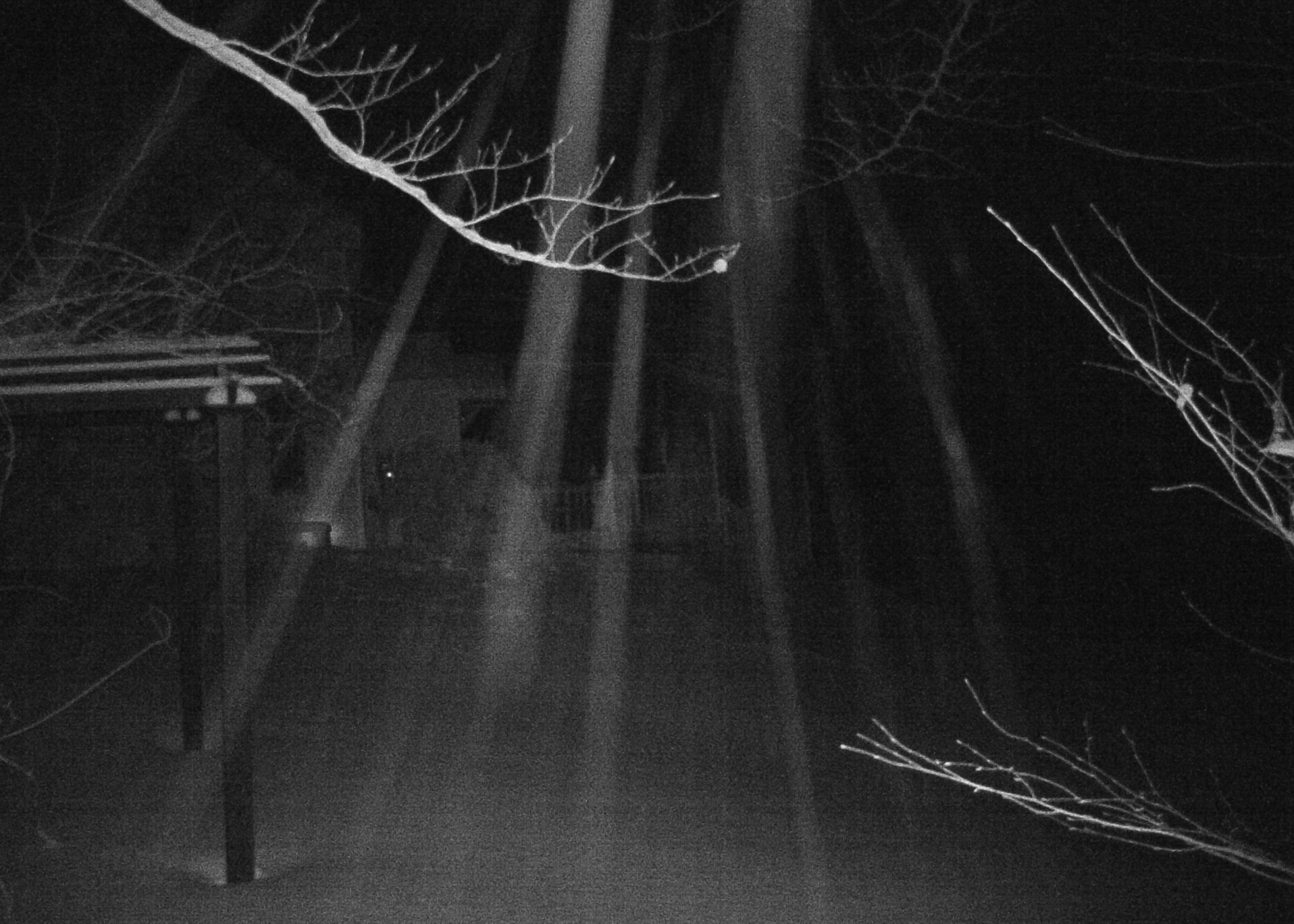 Image from report NUFORC_179728