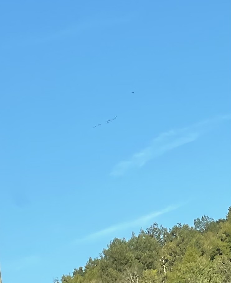 Image from report NUFORC_179812