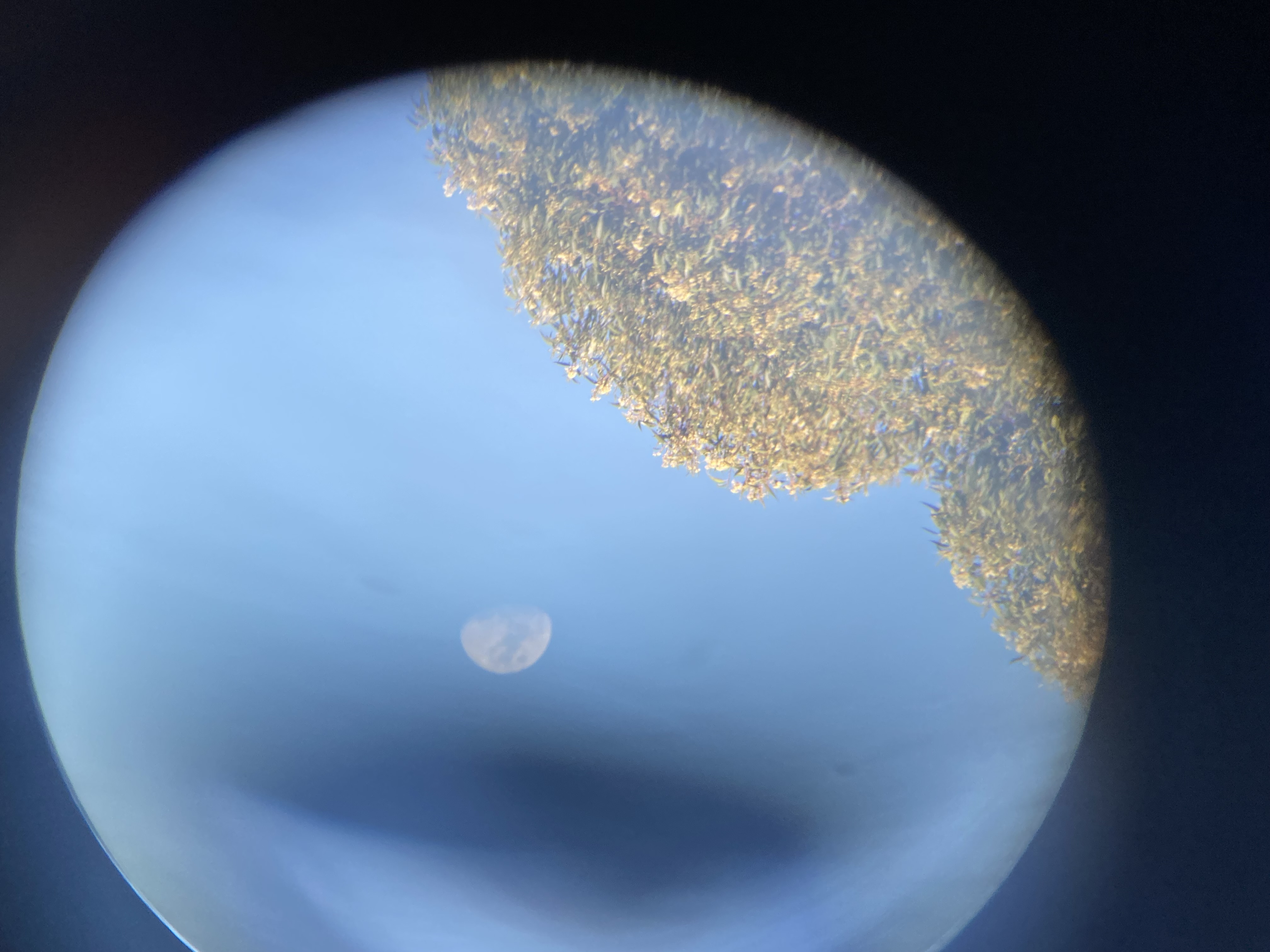 Image from report NUFORC_180225