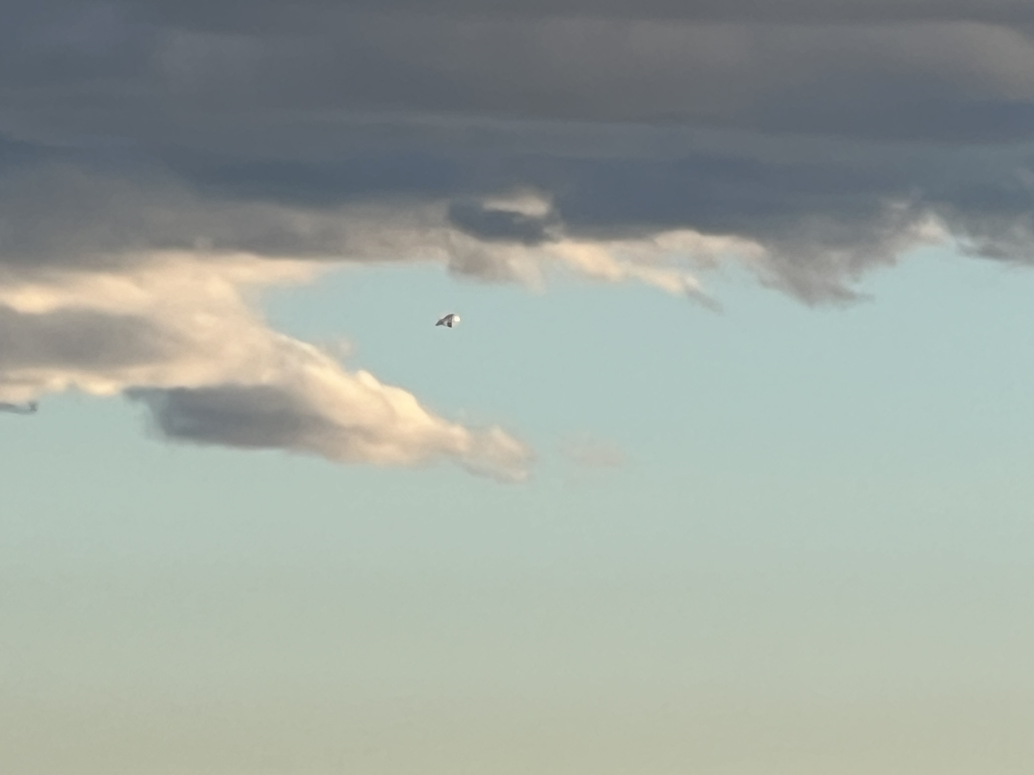 Image from report NUFORC_180328