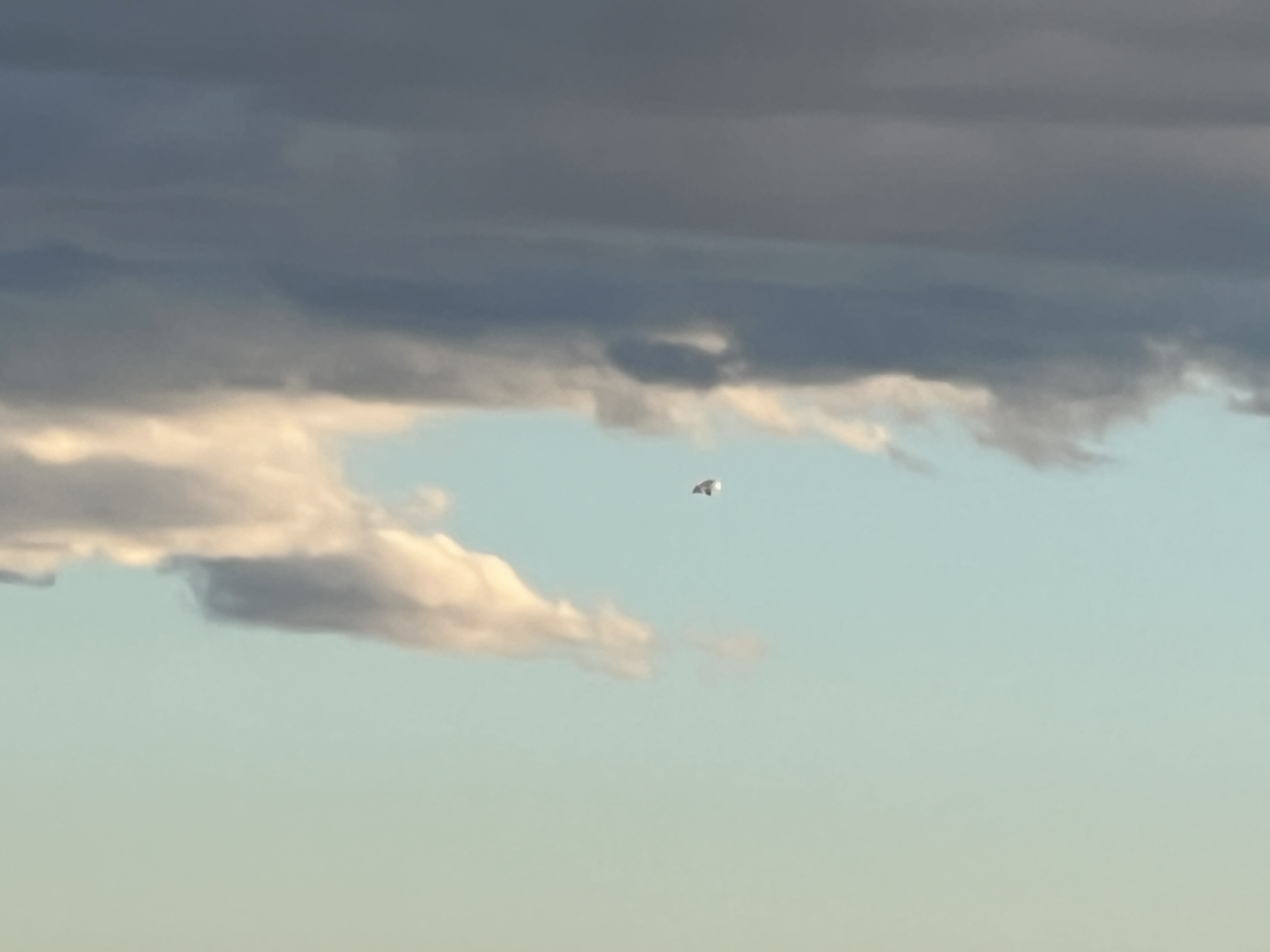 Image from report NUFORC_180328