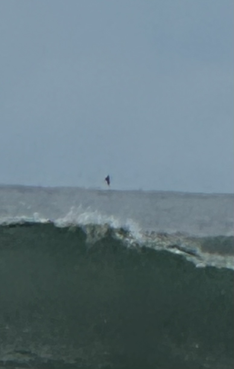 Image from report NUFORC_181289