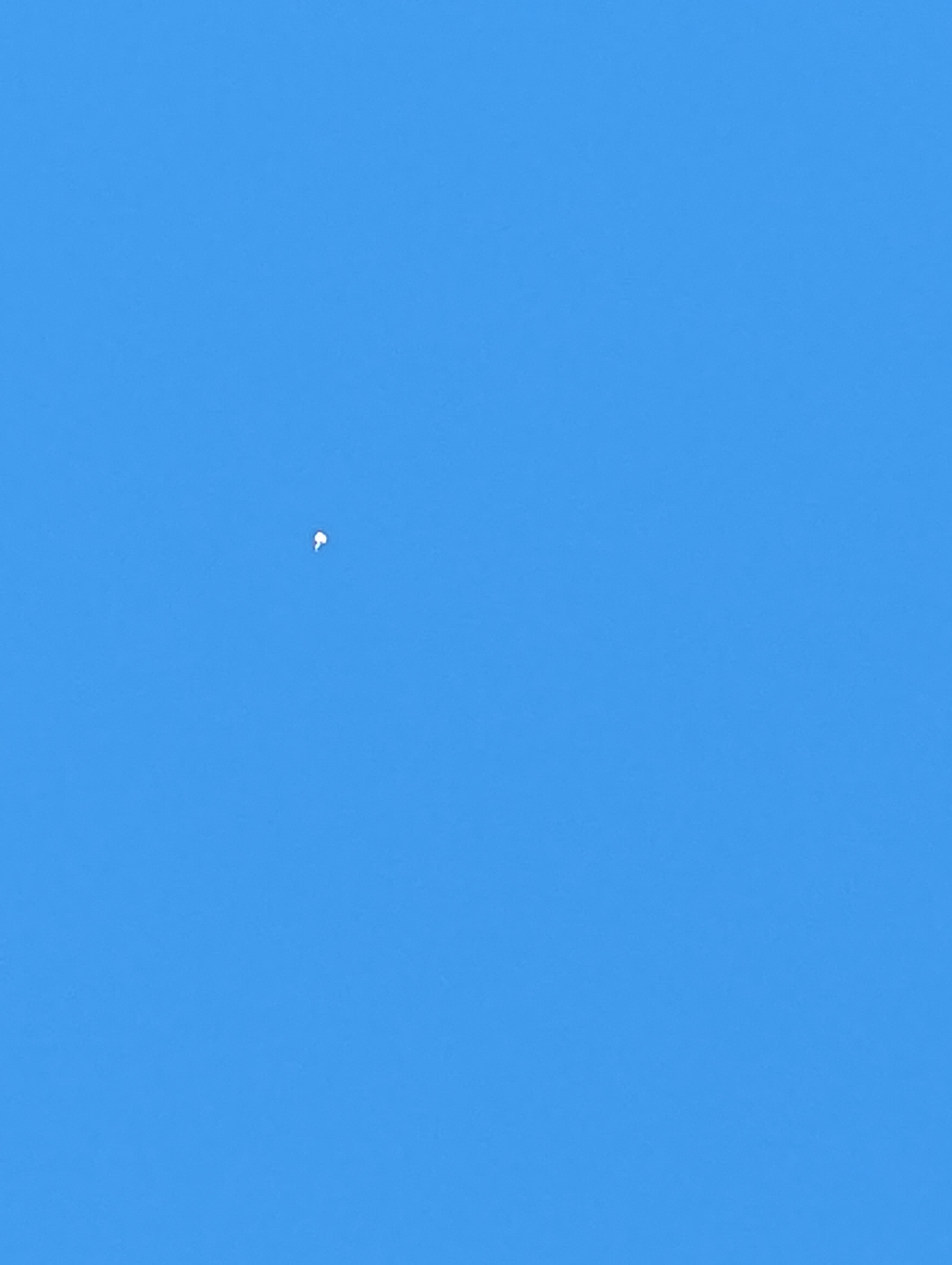 Image from report NUFORC_181880