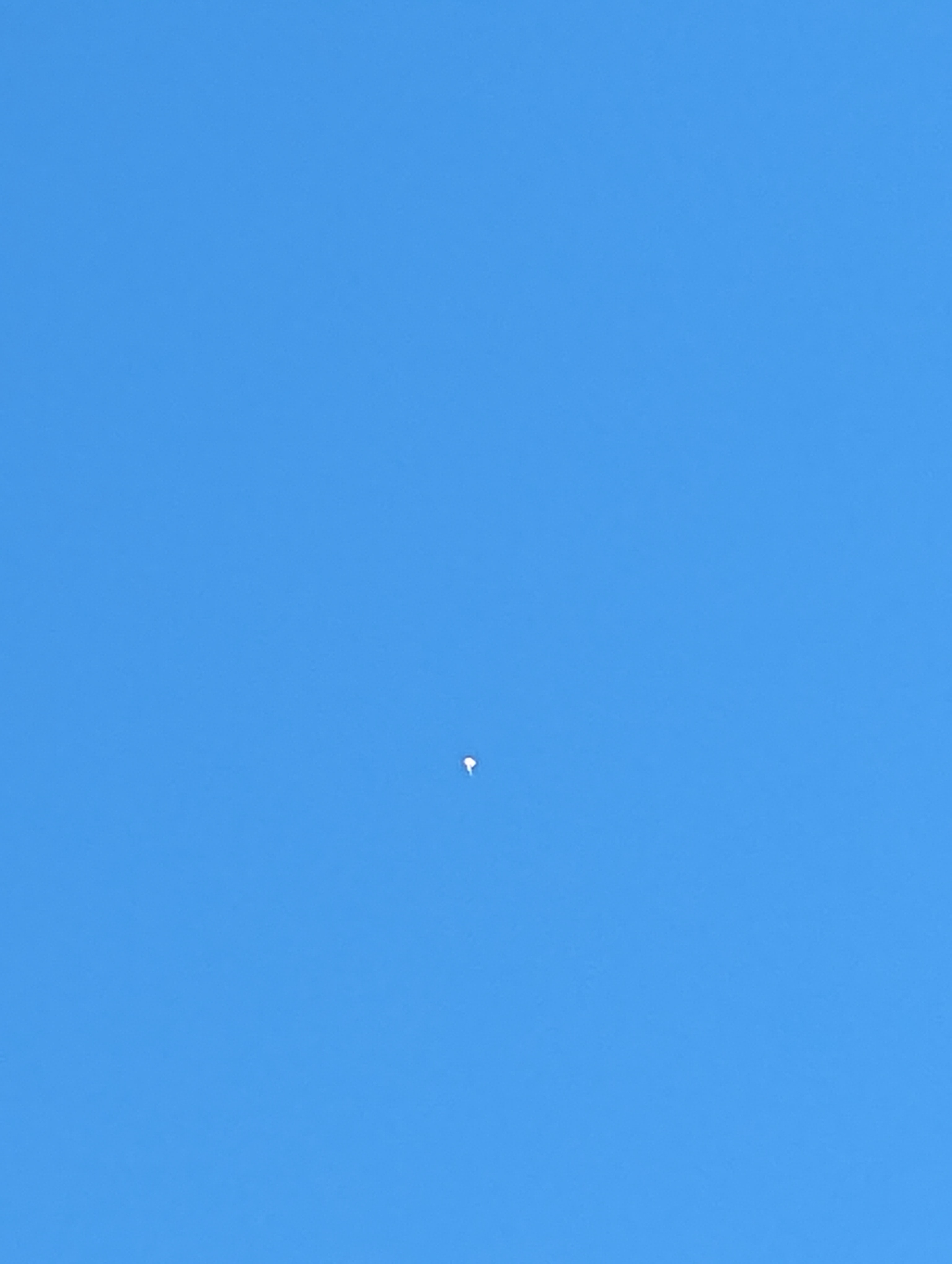 Image from report NUFORC_181880