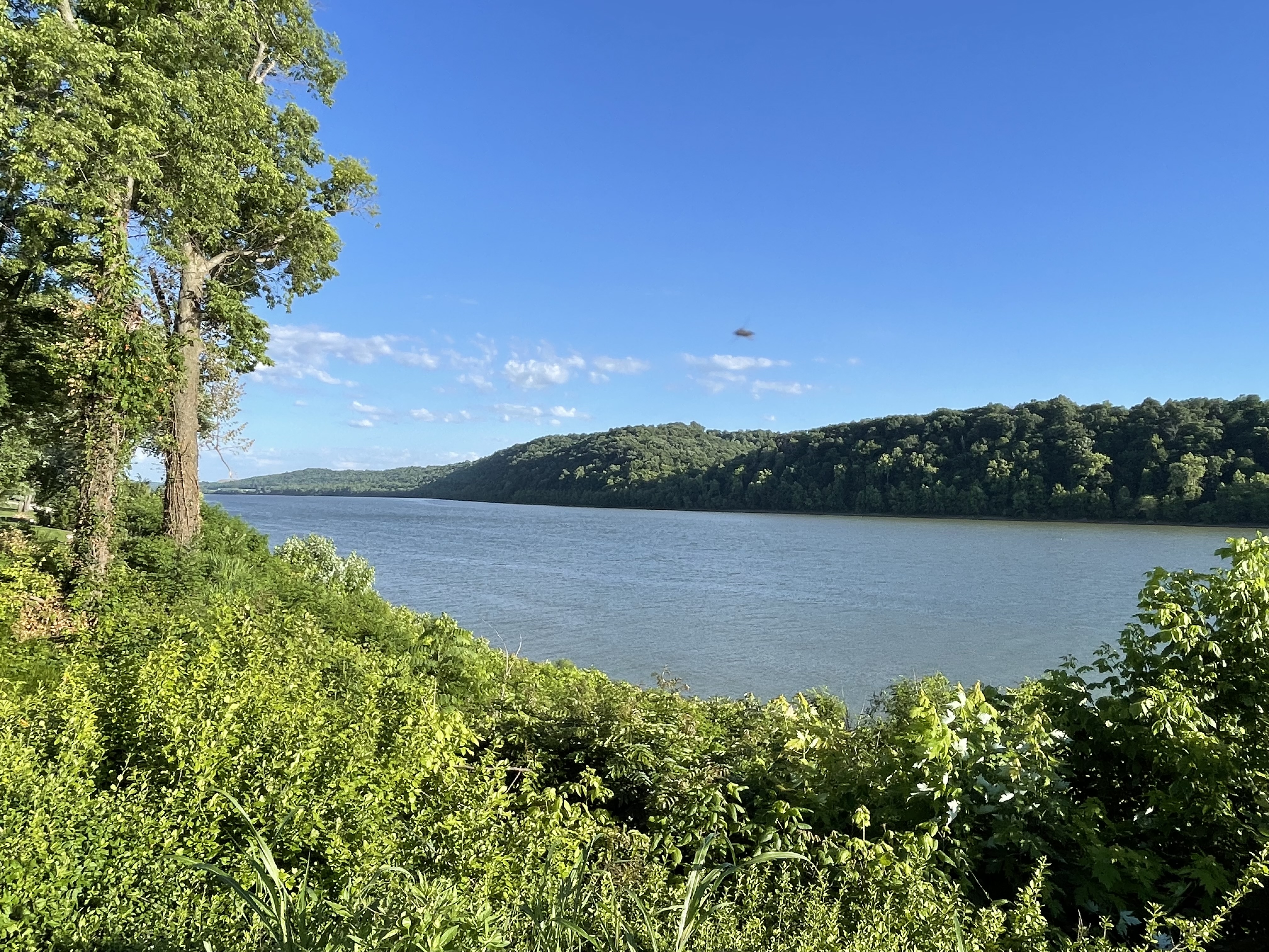 Image from report NUFORC_181942