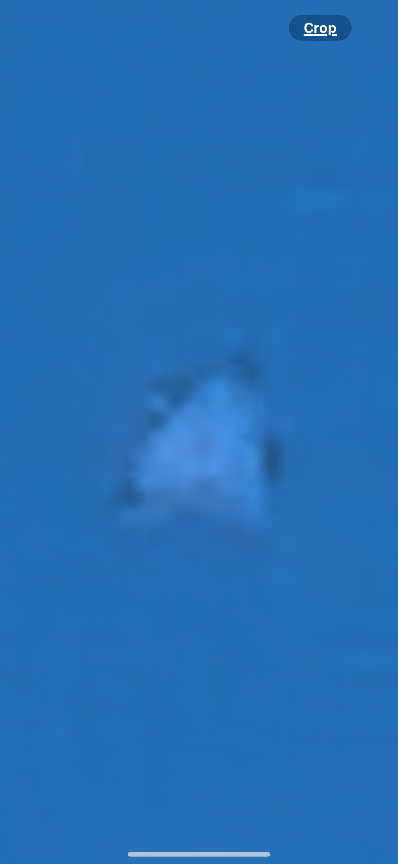 Image from report NUFORC_182024