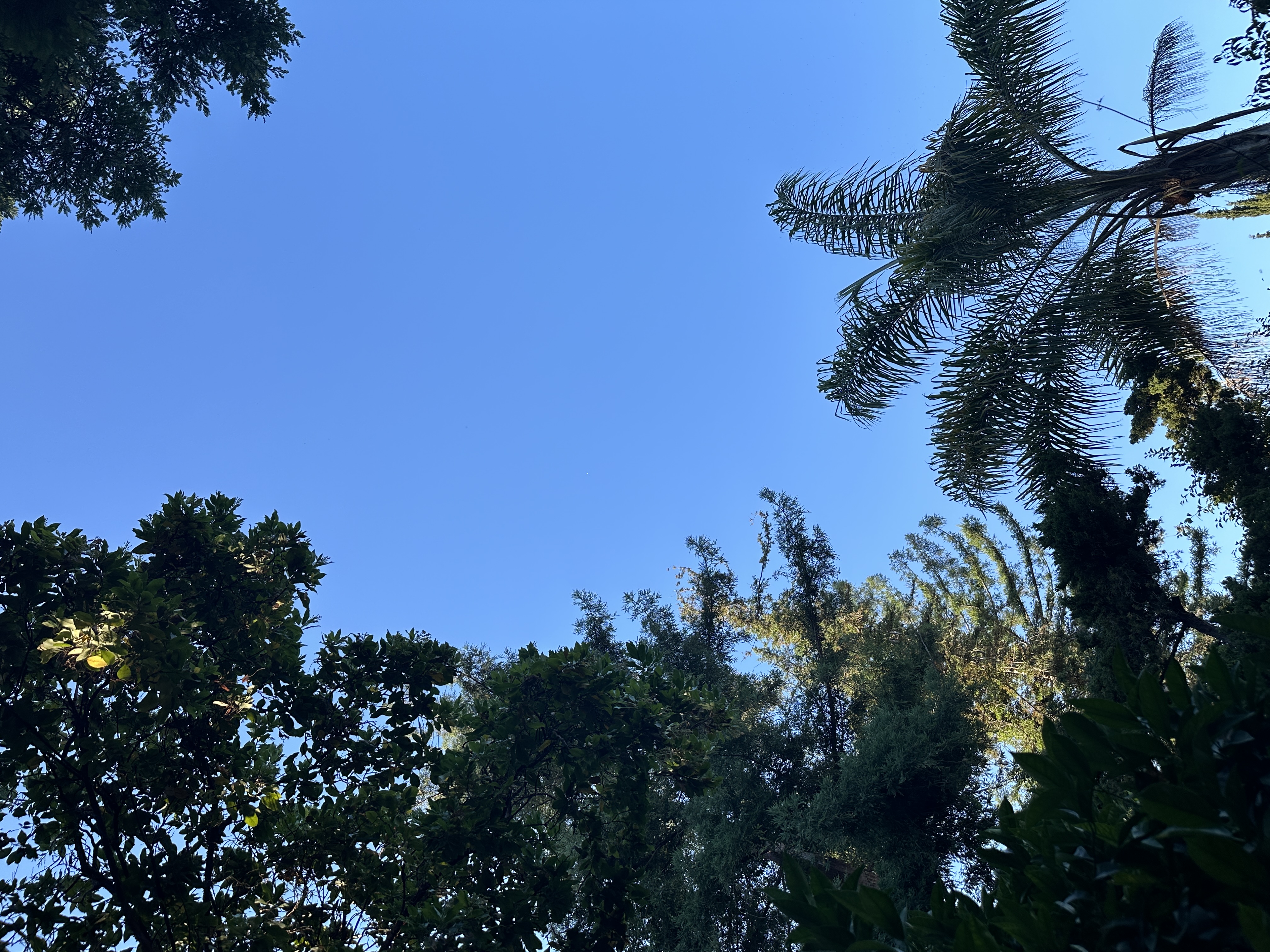 Image from report NUFORC_182040