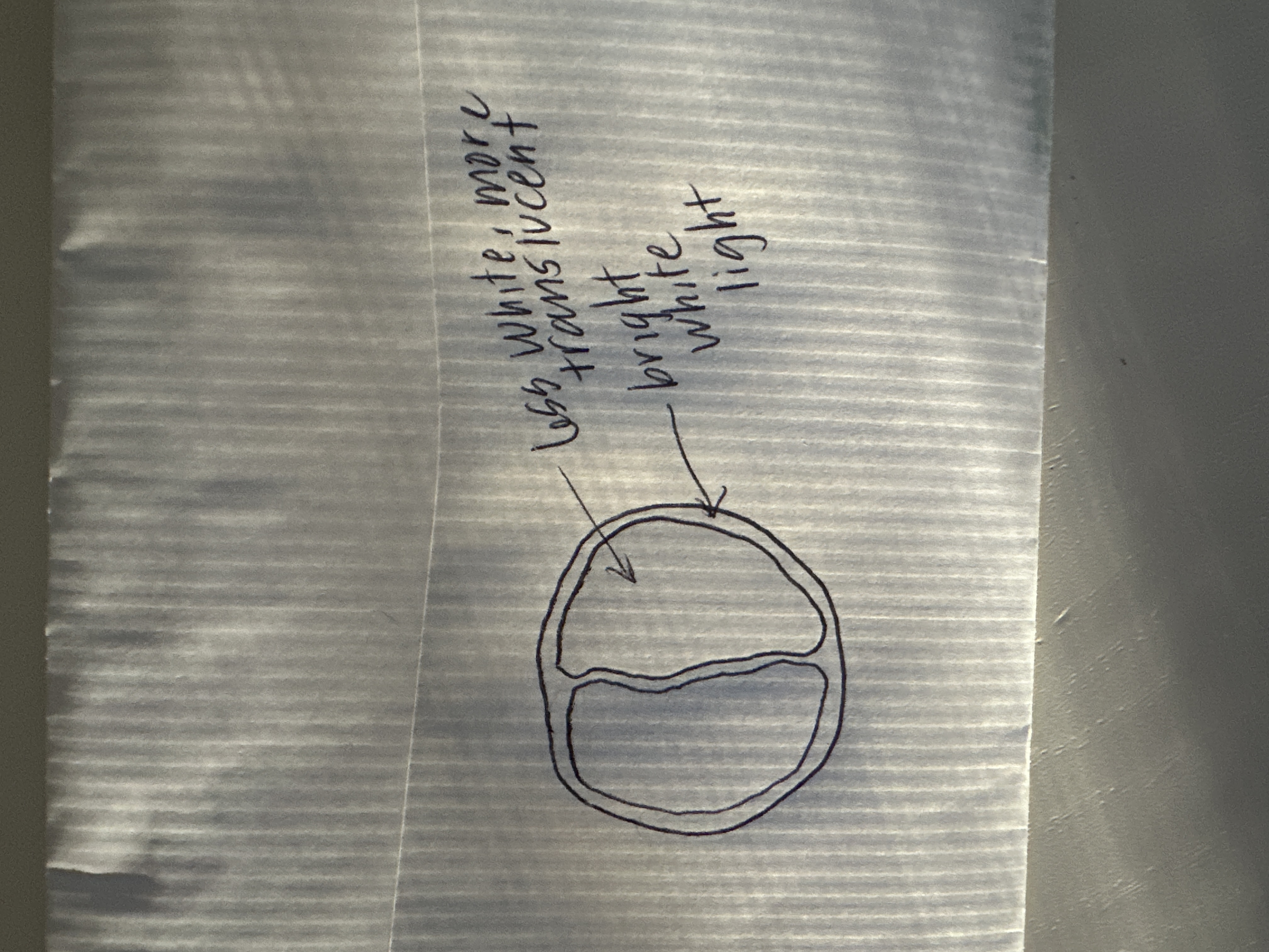 Image from report NUFORC_182040