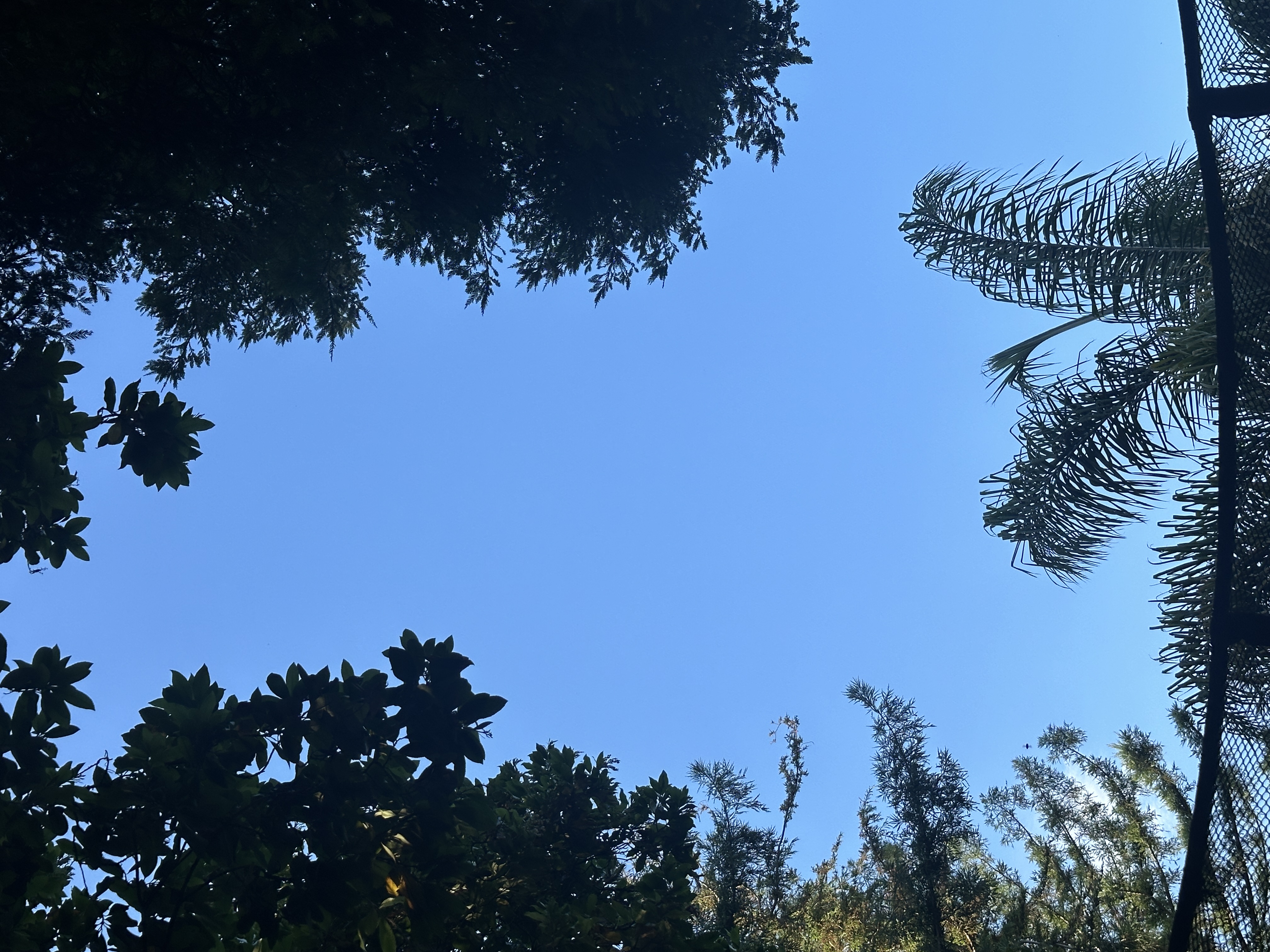 Image from report NUFORC_182040