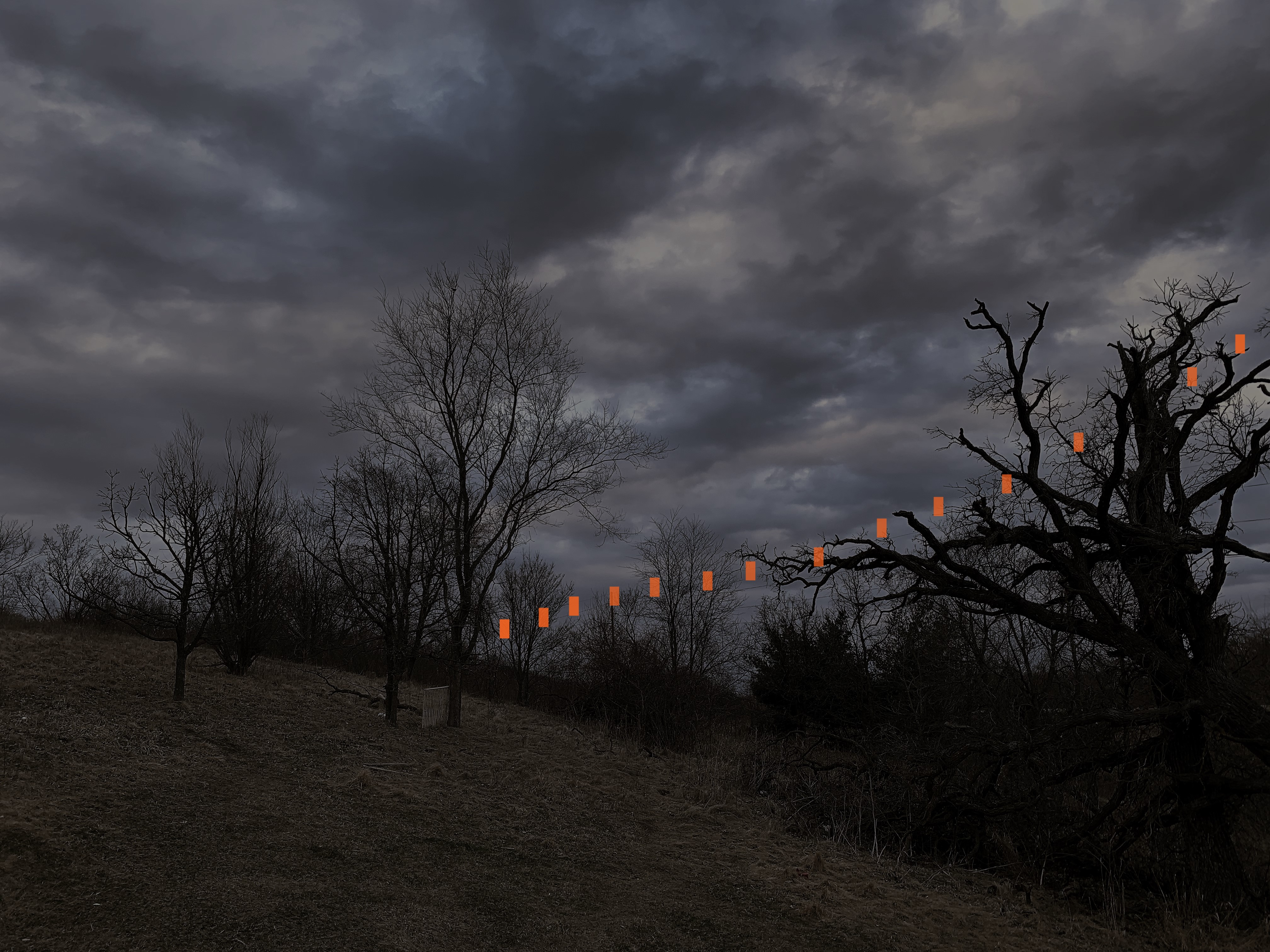 Image from report NUFORC_182132