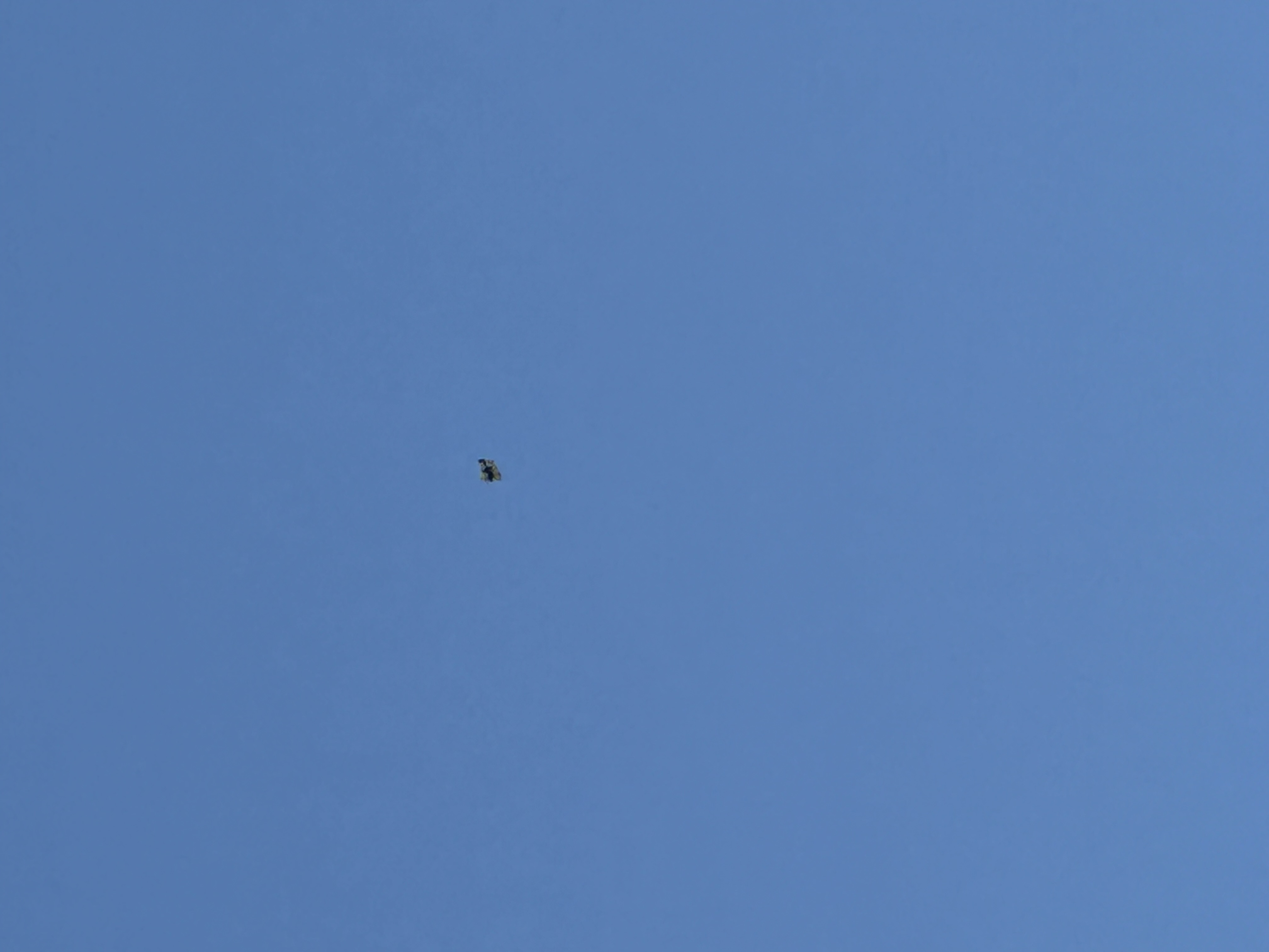 Image from report NUFORC_182209